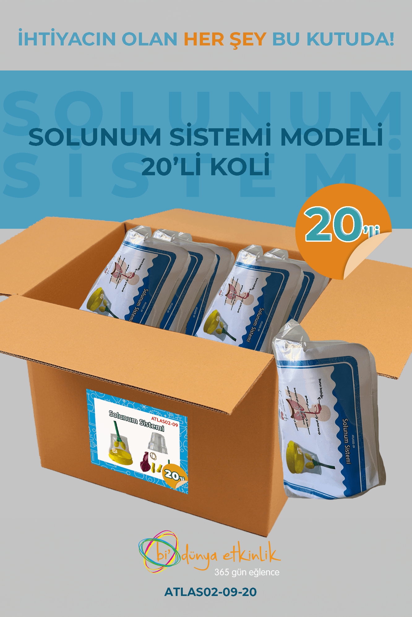 Solunum Sistemi Modeli Deney Seti 20'li Koli | 02-09-20