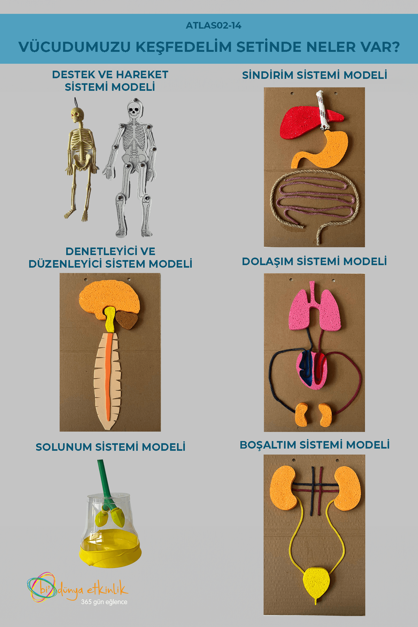 Vücudumuzu Keşfedelim Deney Seti | 02-14
