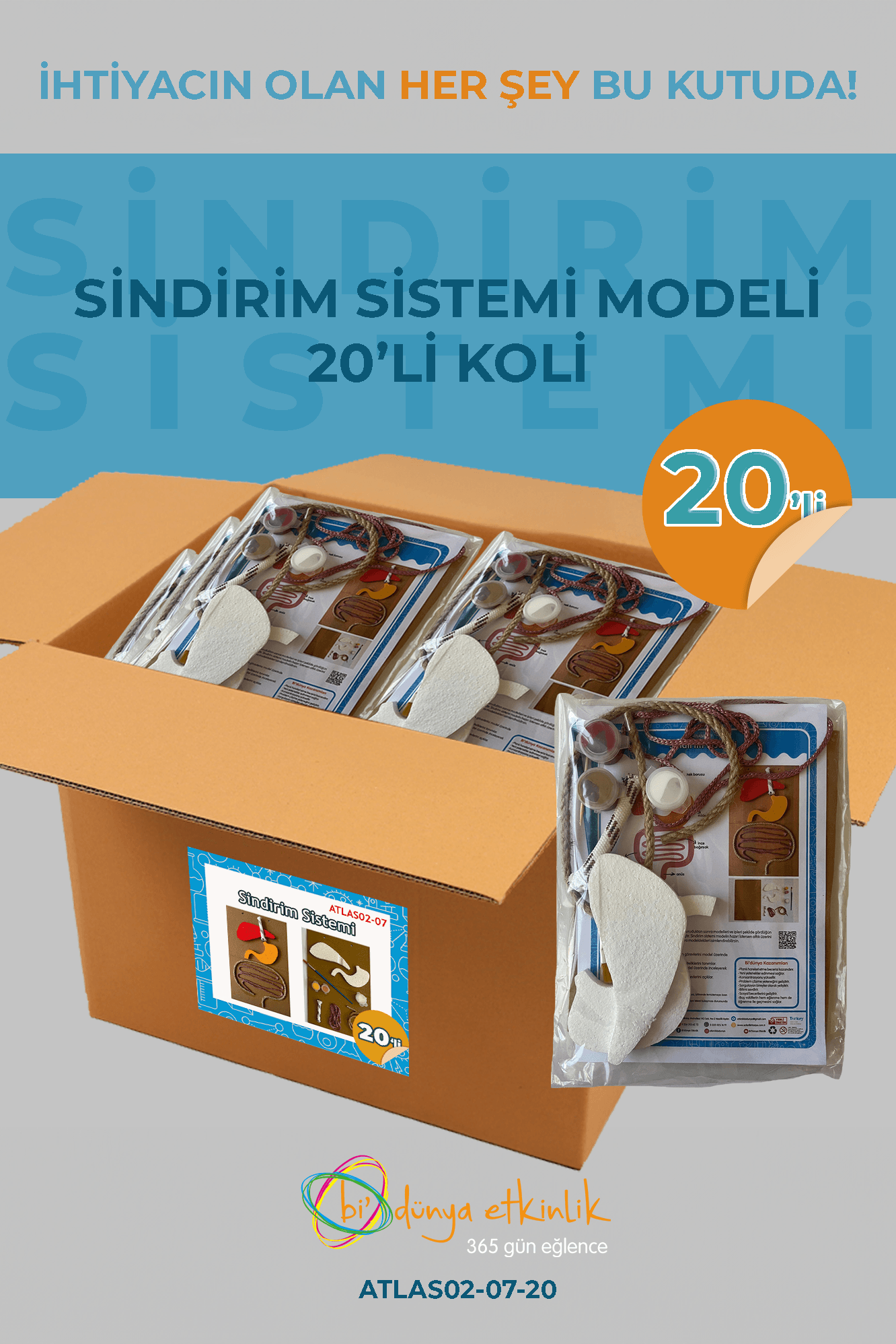 Sindirim Sistemi Modeli Deney Seti 20'li Koli | 02-07-20