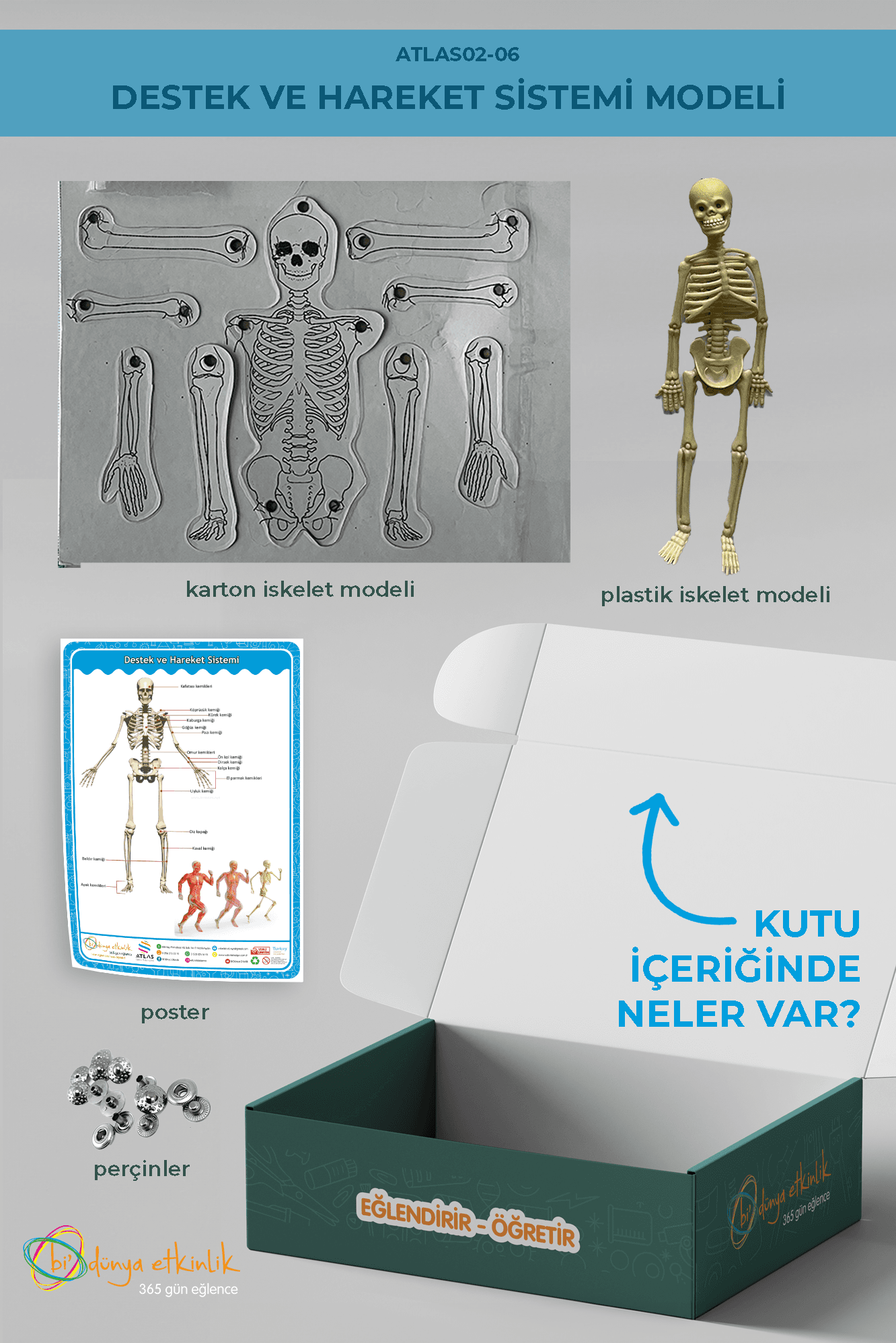 Destek ve Hareket Sistemi Modeli Deney Seti | 02-06