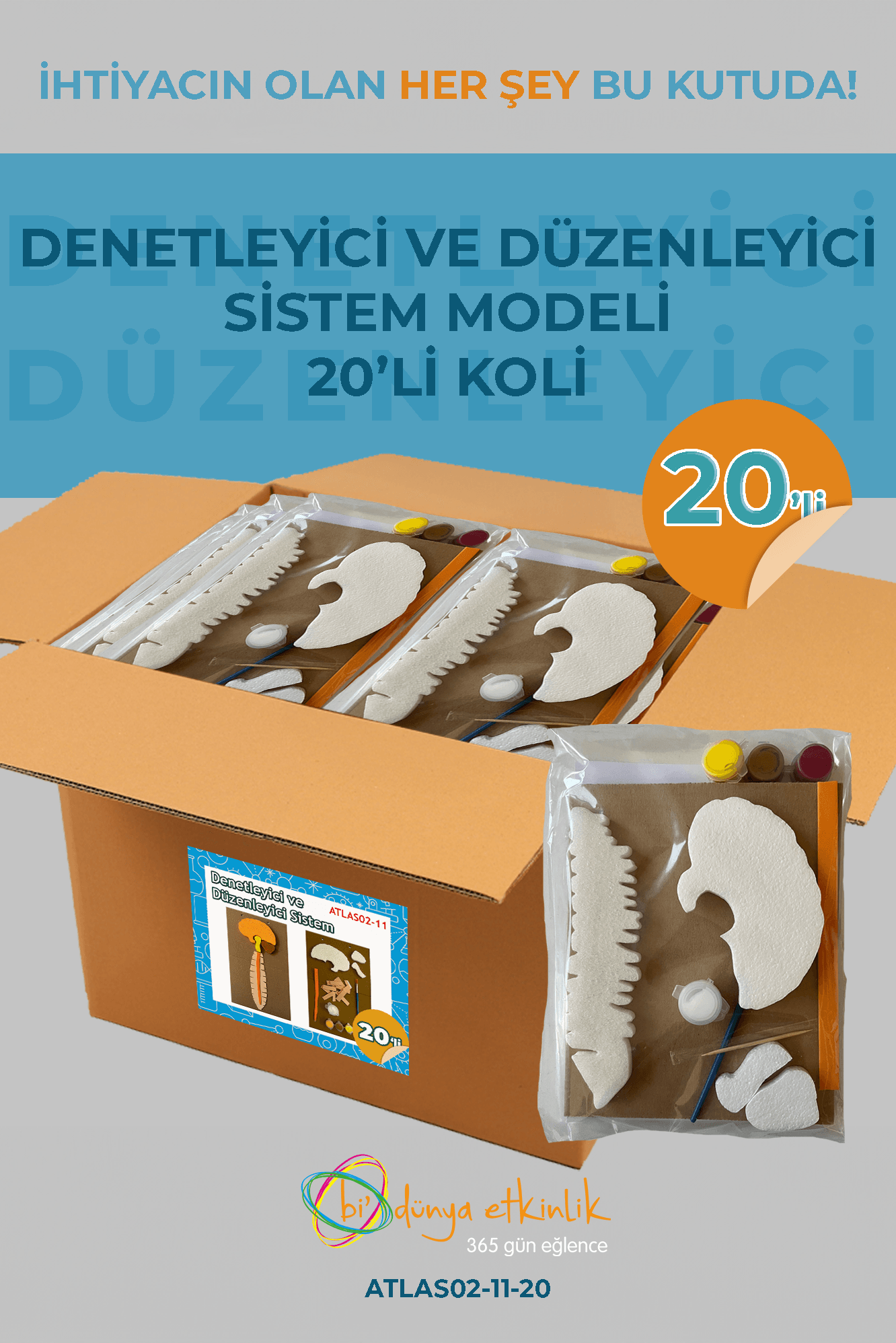 Denetleyici ve Düzenleyici Sistem Modeli Deney Seti 20'li Koli | 02-11-20