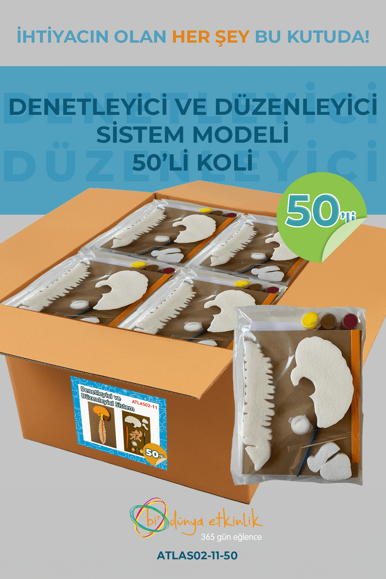Denetleyici ve Düzenleyici Sistem Modeli Deney Seti 50'li Koli | 02-11-50
