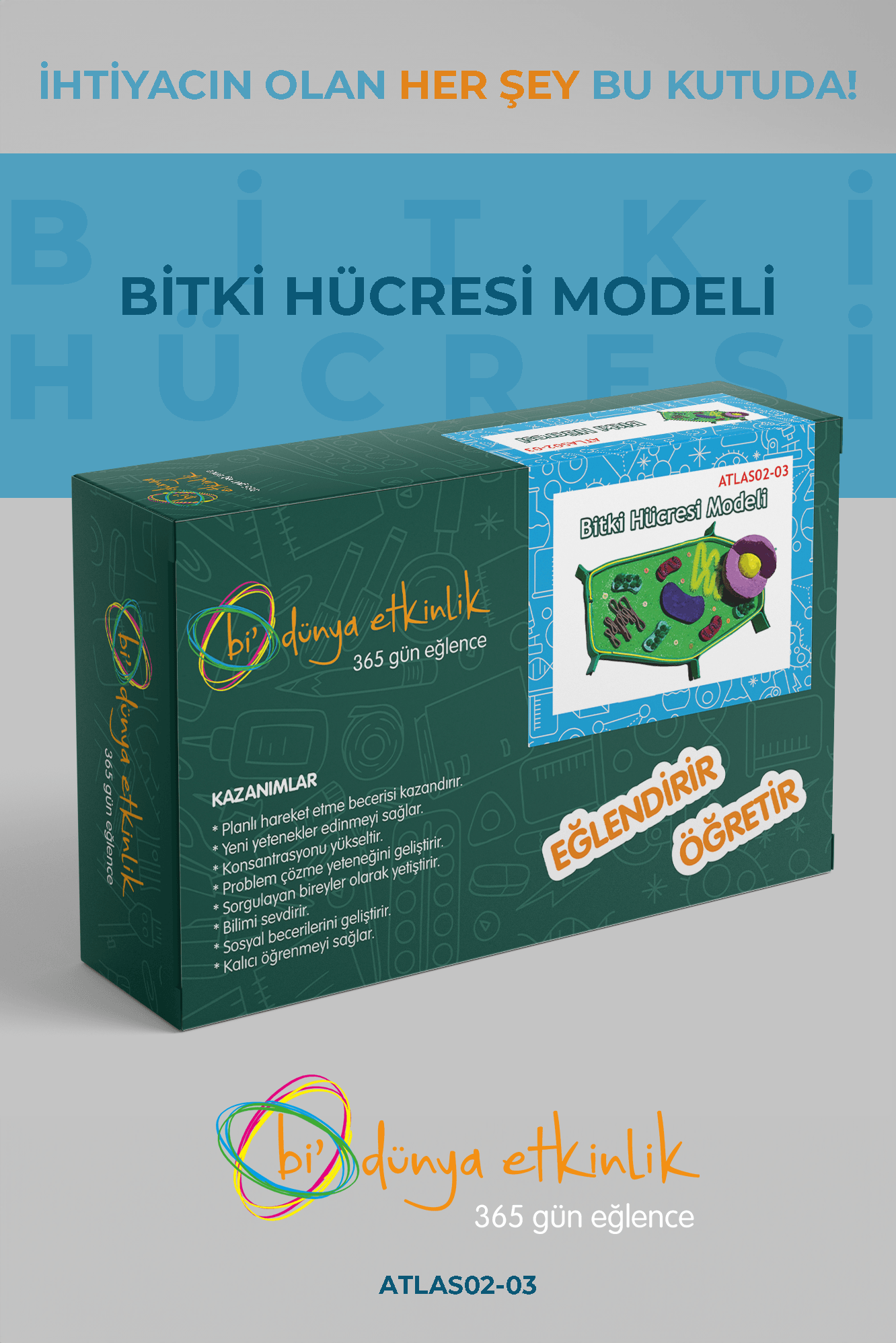 Bitki Hücresi Modeli Deney Seti | 02-03