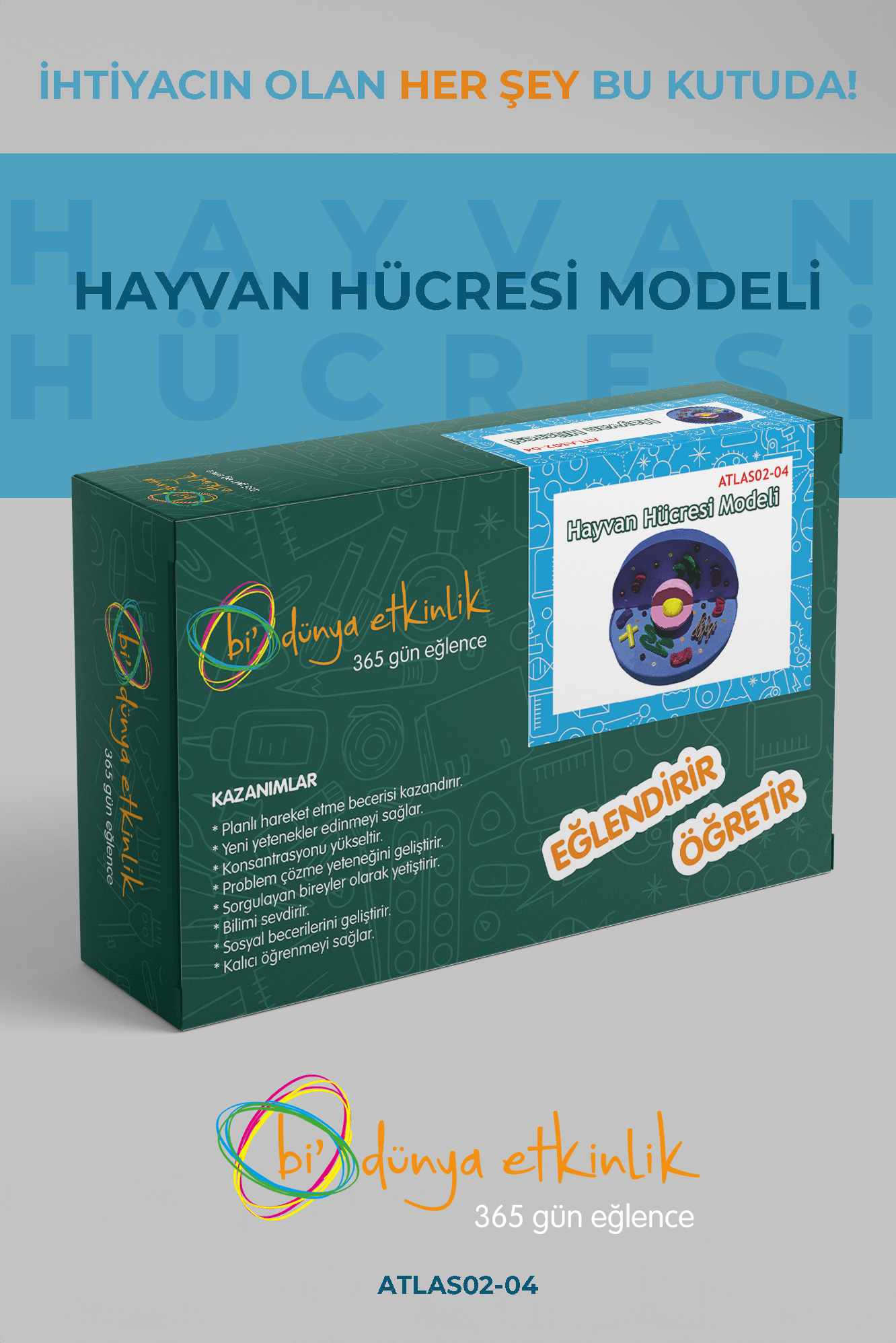 Hayvan Hücresi Modeli Deney Seti | 02-04