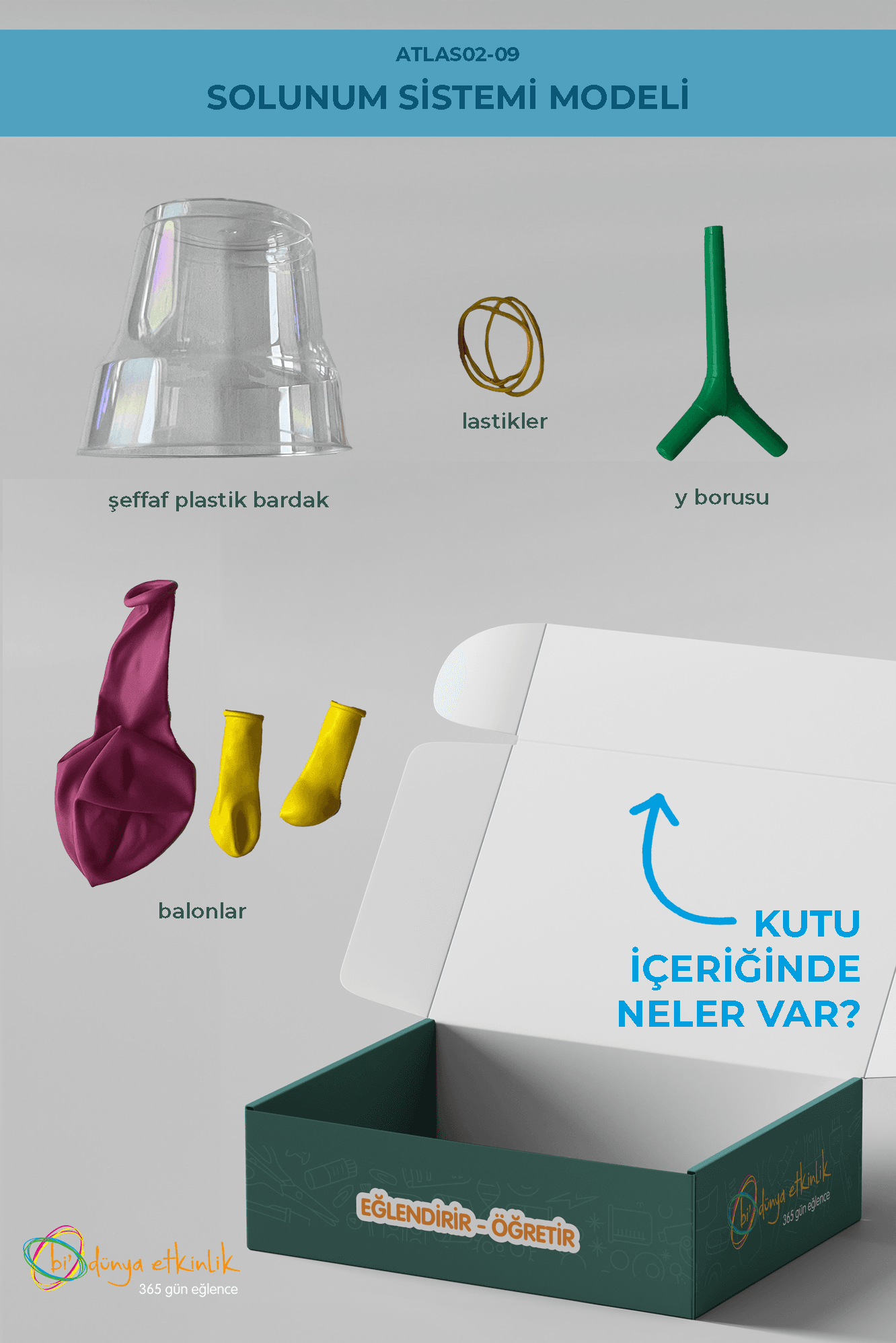 Solunum Sistemi Modeli Deney Seti | 02-09
