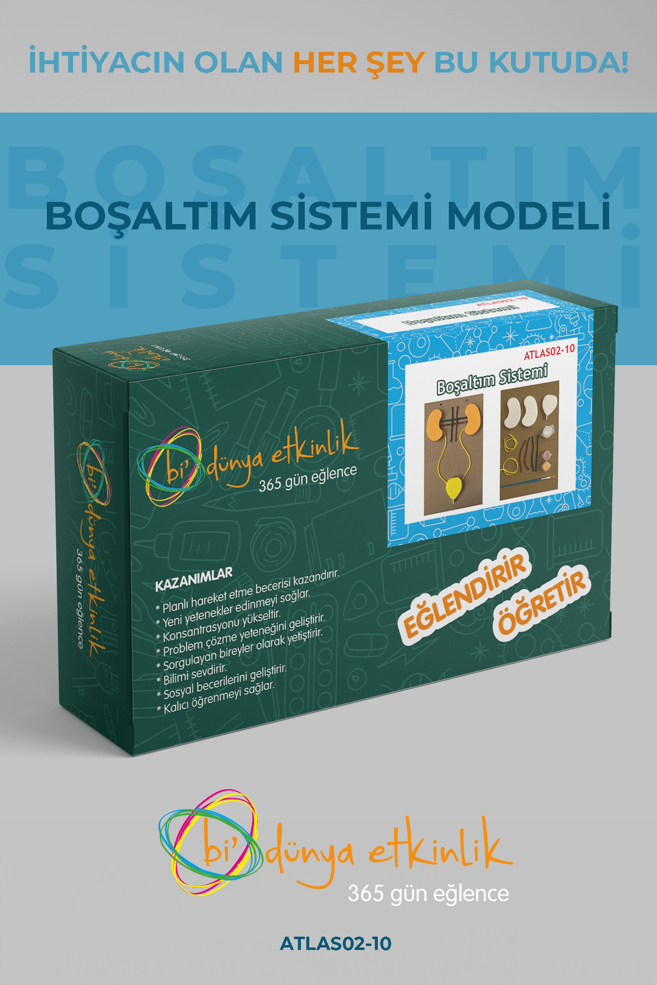 Boşaltım Sistemi Modeli Deney Seti | 02-10