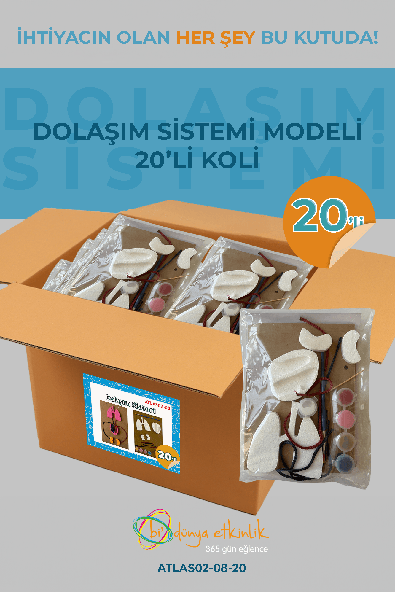 Dolaşım Sistemi Modeli Deney Seti 20'li Koli | 02-08-20