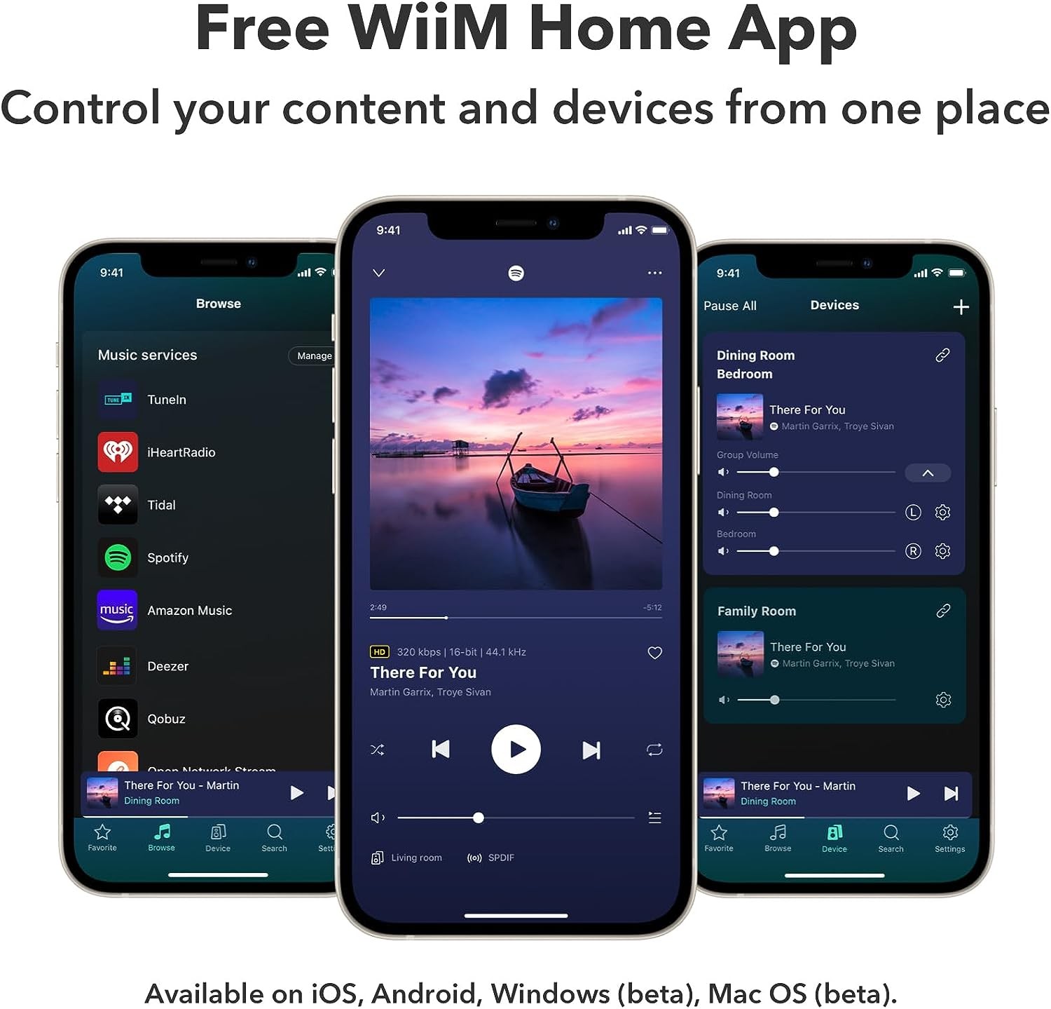 WIIM PRO PLUS