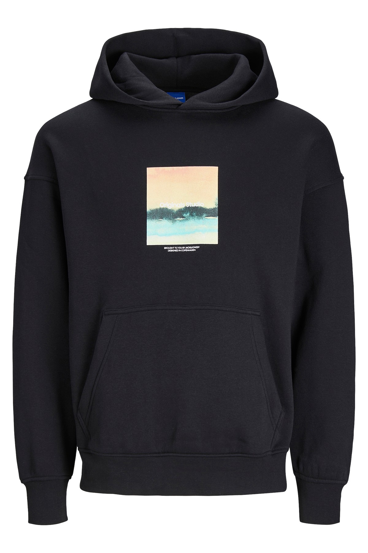 Jack & Jones JORVESTERBRO AQUA Erkek Kapşonlu Sweatshirt 12254308