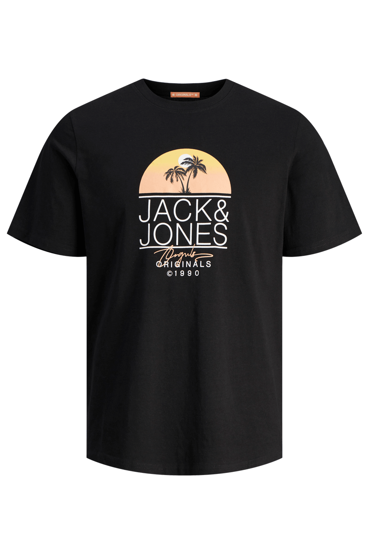 Jack & Jones Jorcasey Erkek T-Shirt 12255238