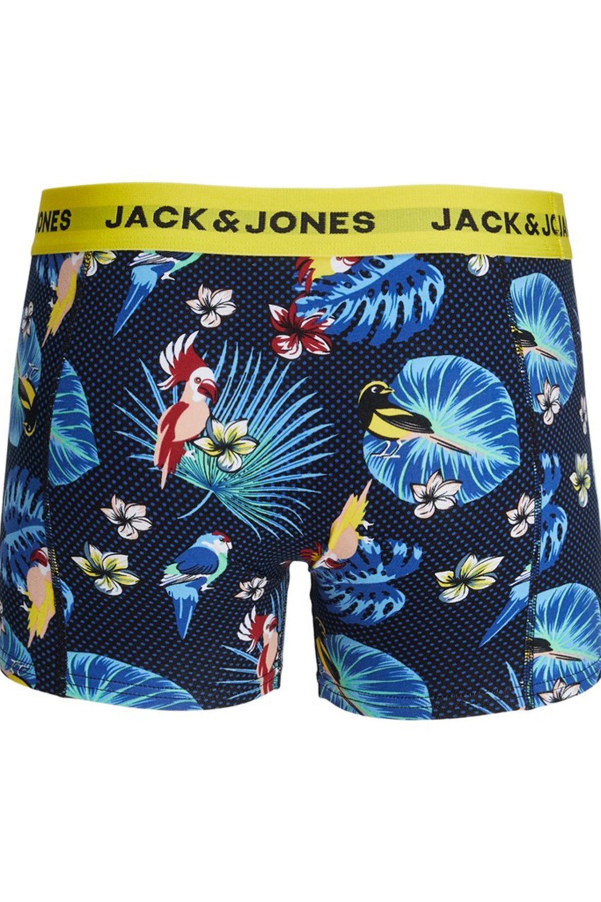 Jack & Jones JACFLOWER BIRD 12194104 3'lü Boxer