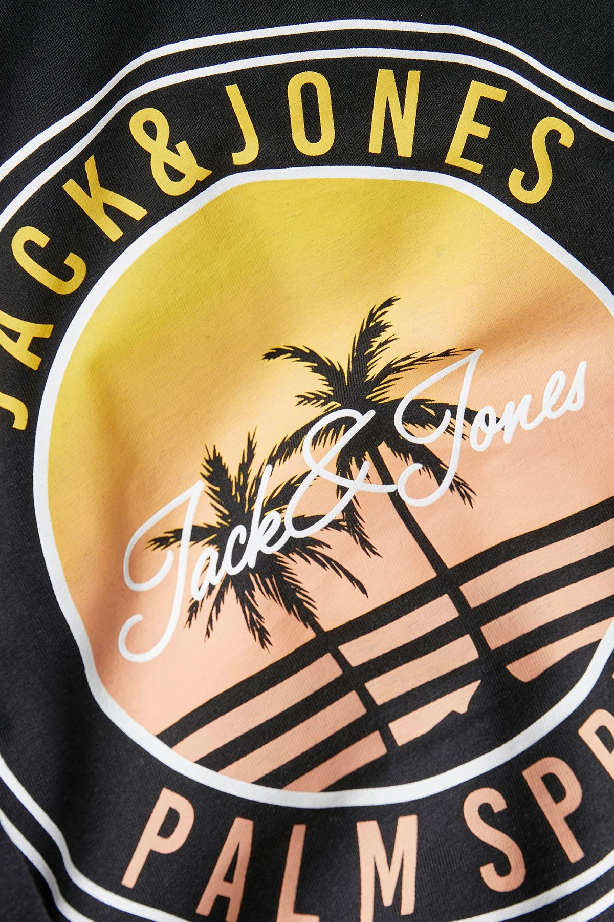 Jjpalm Erkek T-Shirt 12269418