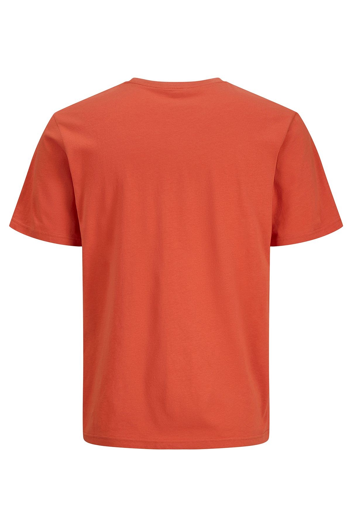 Jack & Jones Jorazur Erkek T-Shirt 12286056
