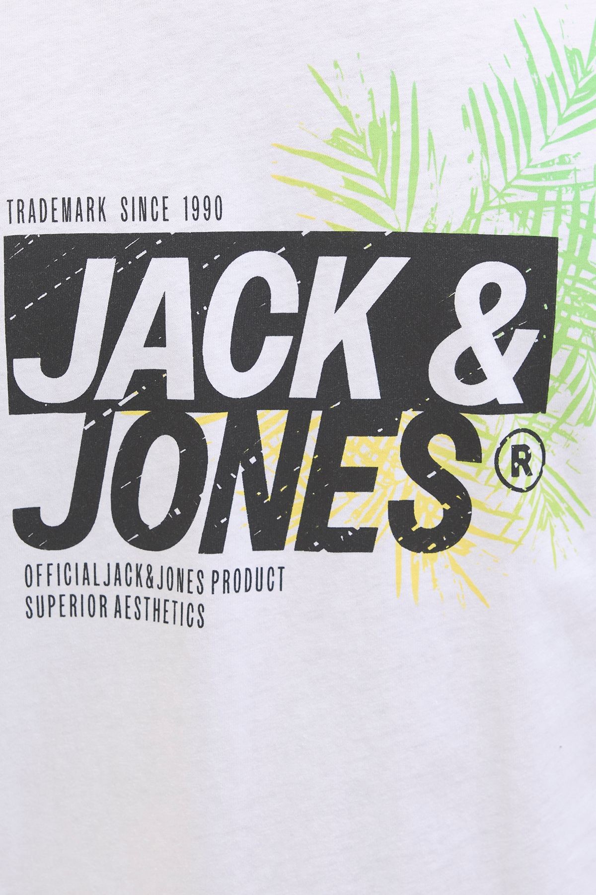 Jack & Jones Jjjaxon Erkek T-Shirt 12269390