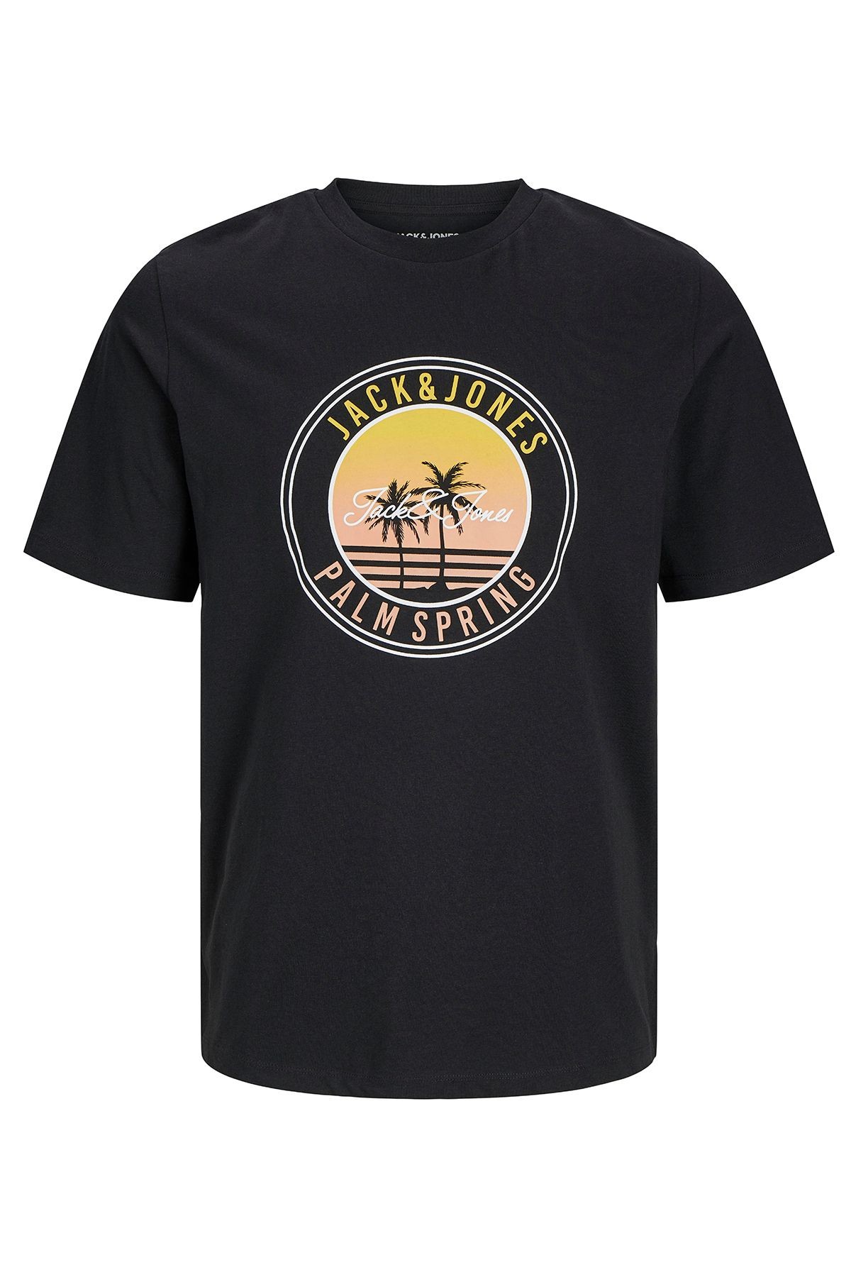 Jjpalm Erkek T-Shirt 12269418