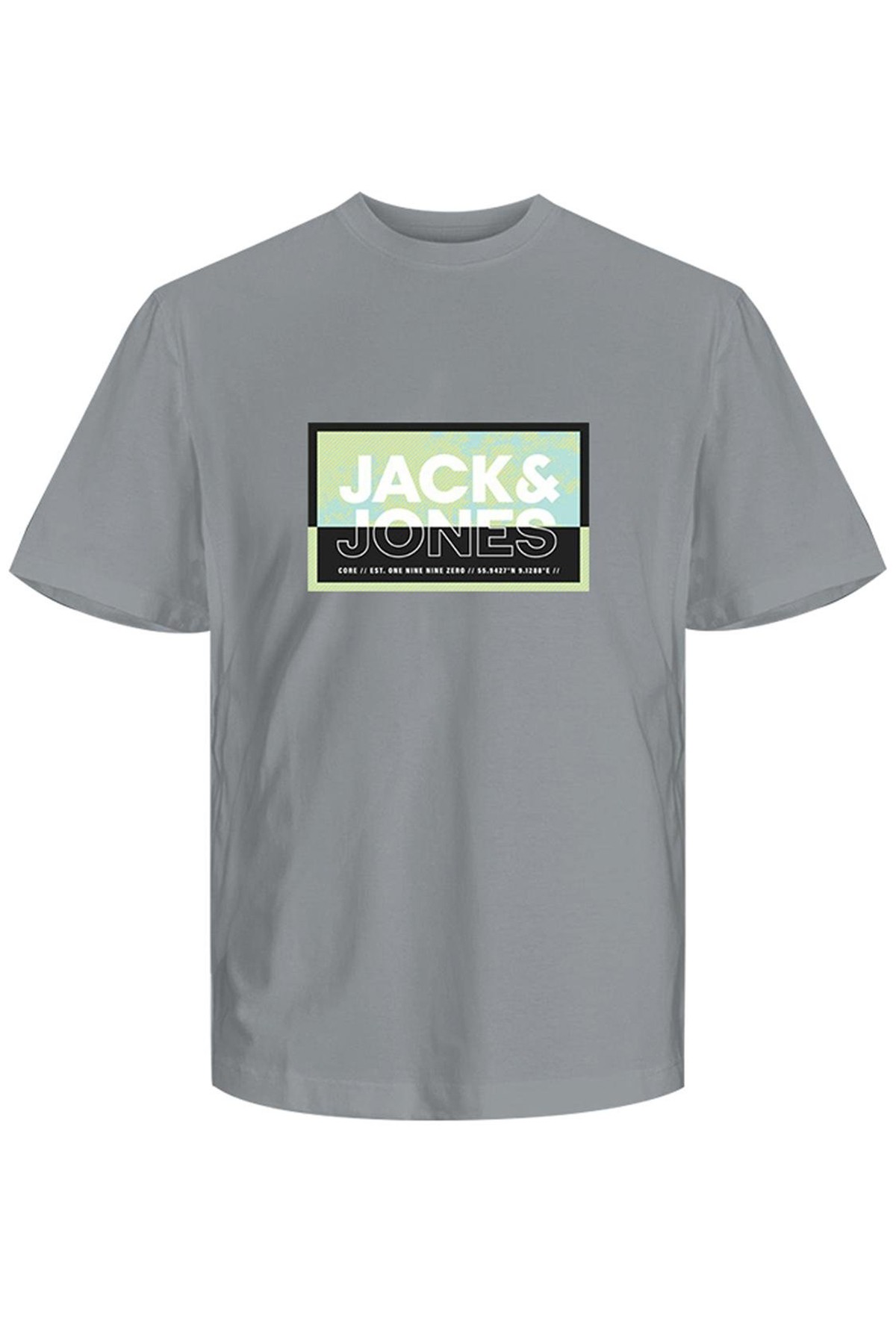 Jack & Jones Jcologan Summer Print Erkek T-Shirt 12259908 - High Rise