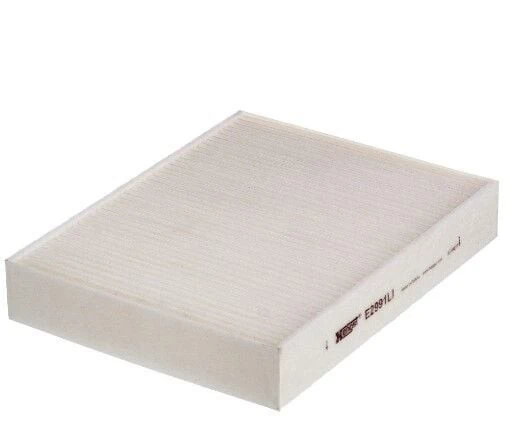 HENGST E2991LI | Klima Filtresi F-20 / 30