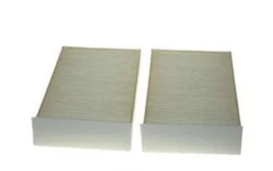 PURFLUX AH428-2 | Polen Filtresi 14-16 2-Seri (F45-F46) X1 (F48) + Ca