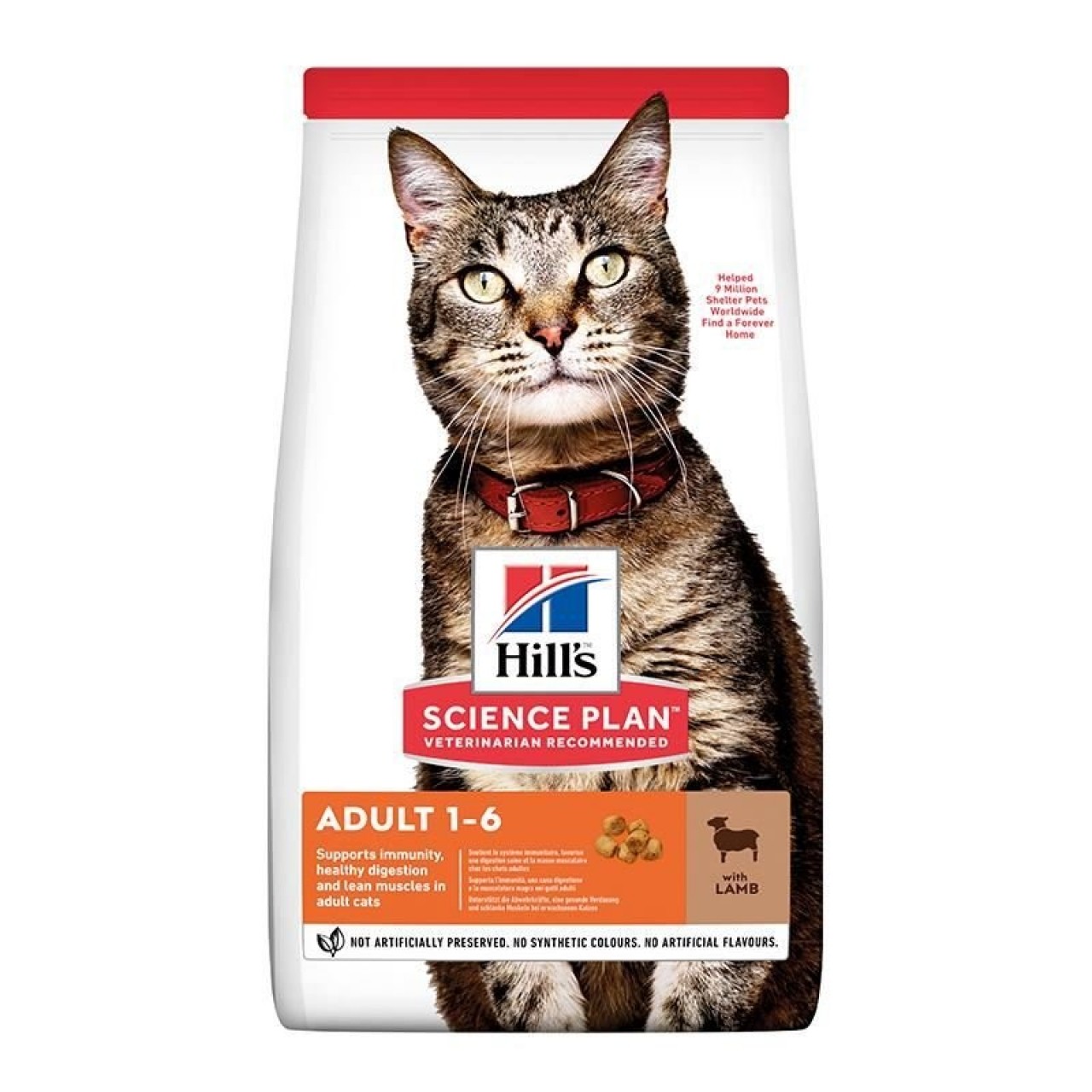 HİLLS CAT ADULT 1-6 LAMB 3 KG 604067