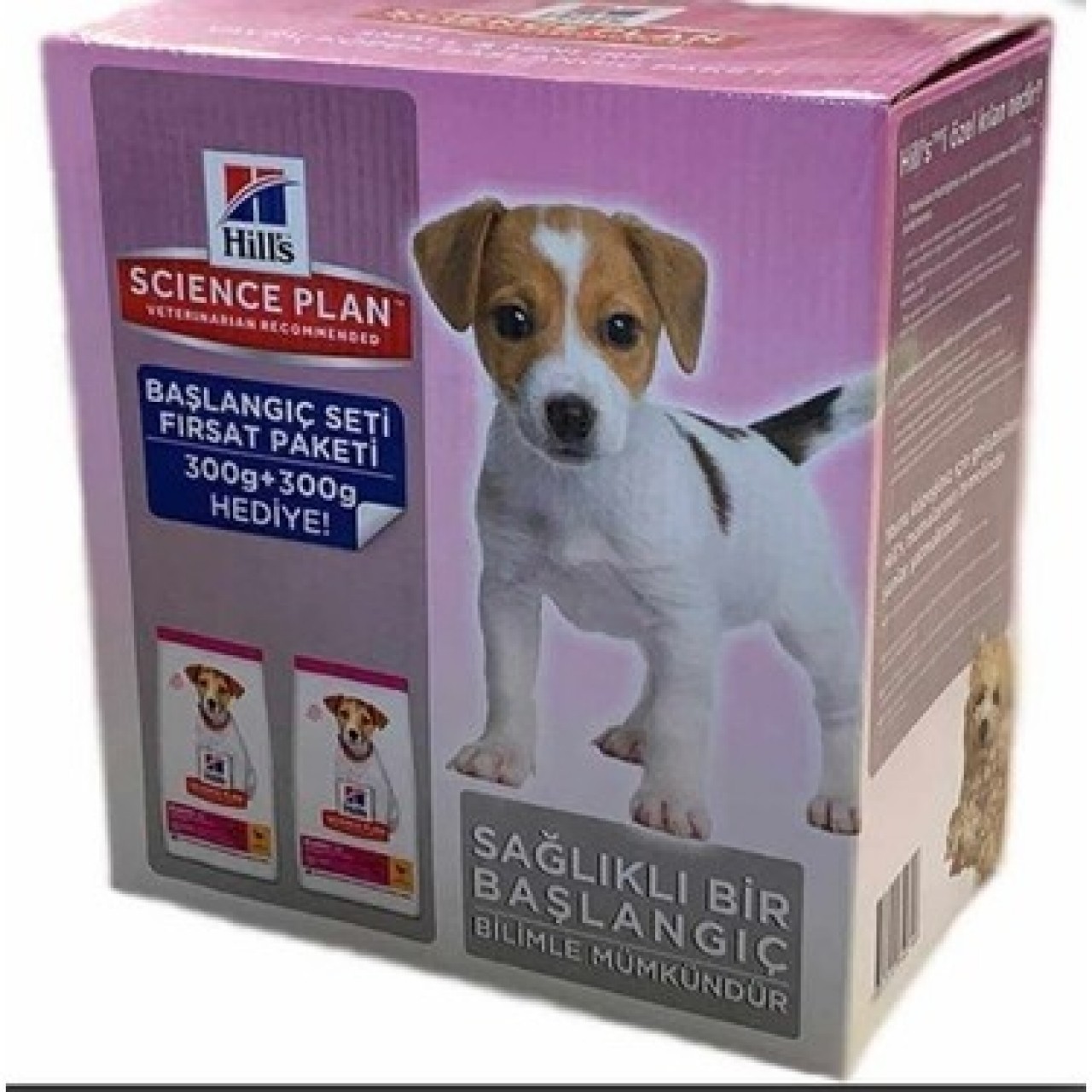 HİLLS BAŞLANGIÇ SETİ 300+300 GR