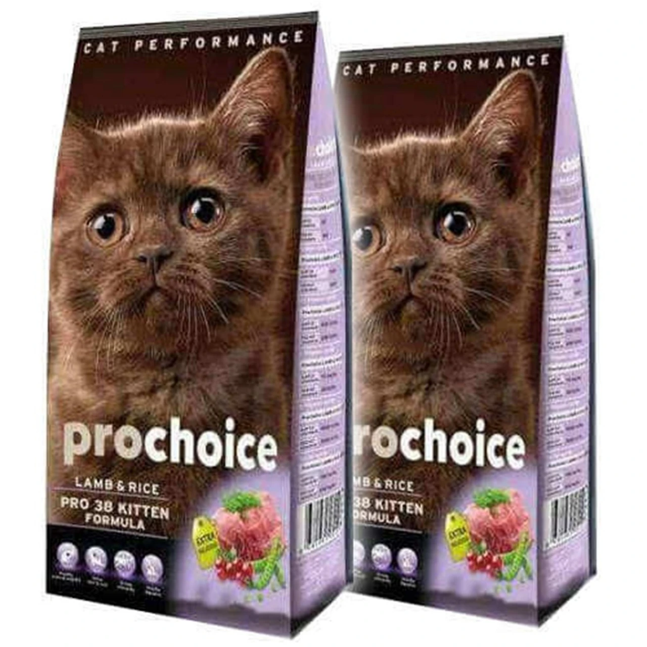 PROCHOİCE CAT PRO38 400G+400G