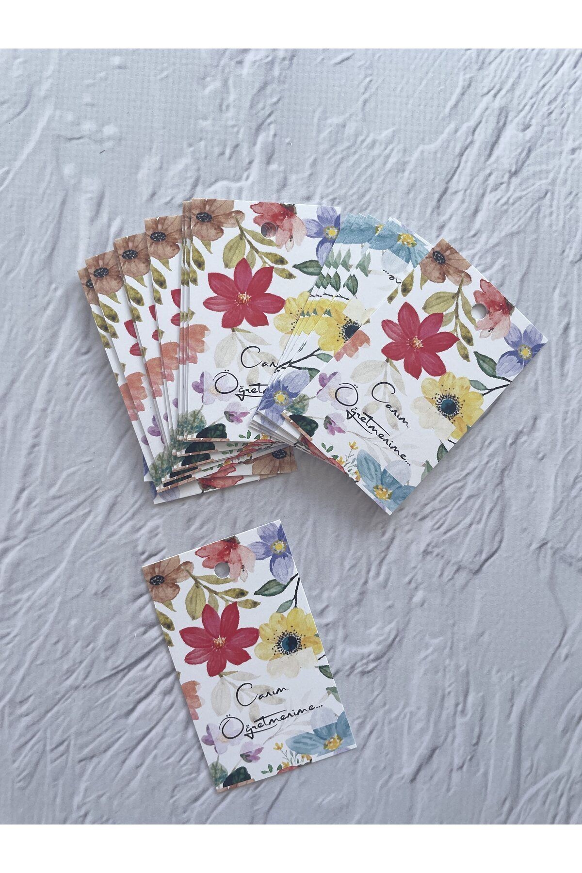 Canım Öğretmenime Yazılı Delikli Etiket / Öğretmenler Günü Temalı Kart / 6-4 Cm. - 50 Adet