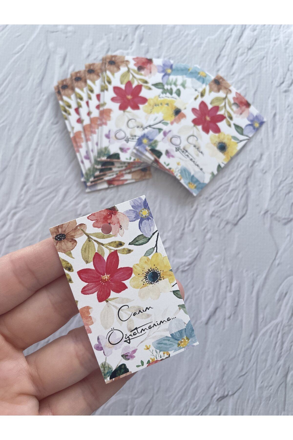 Canım Öğretmenime Yazılı Delikli Etiket / Öğretmenler Günü Temalı Kart / 6-4 Cm. - 50 Adet