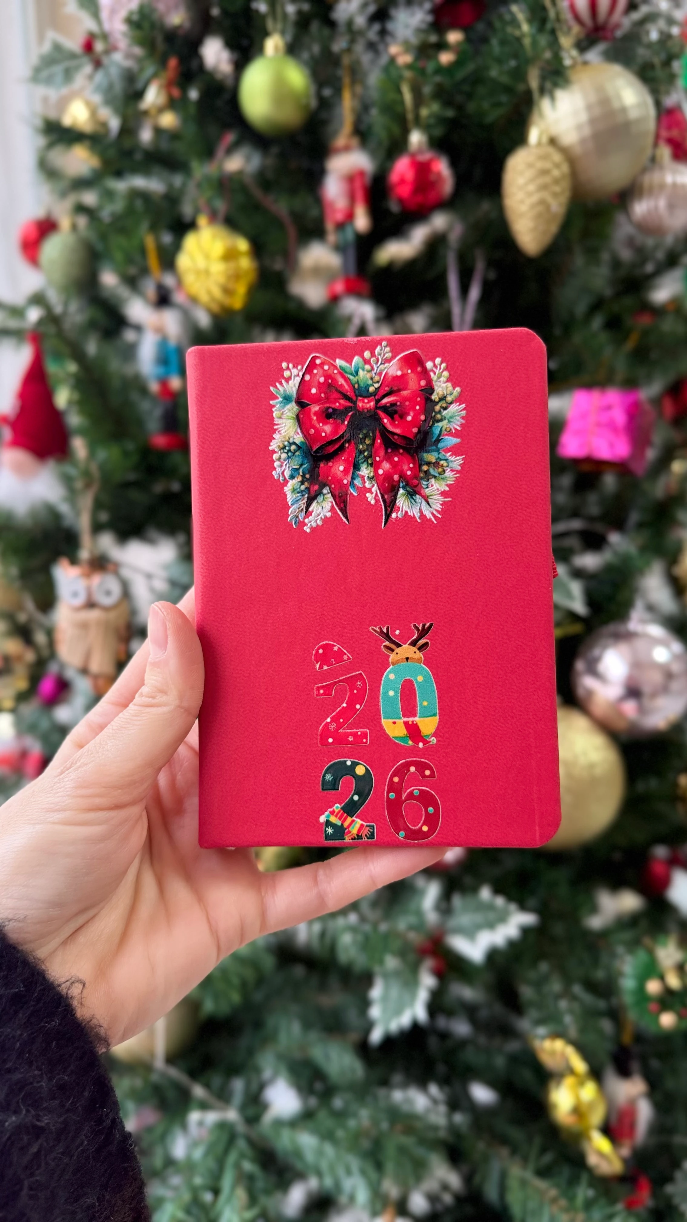 6lı Karışık Defter Seti