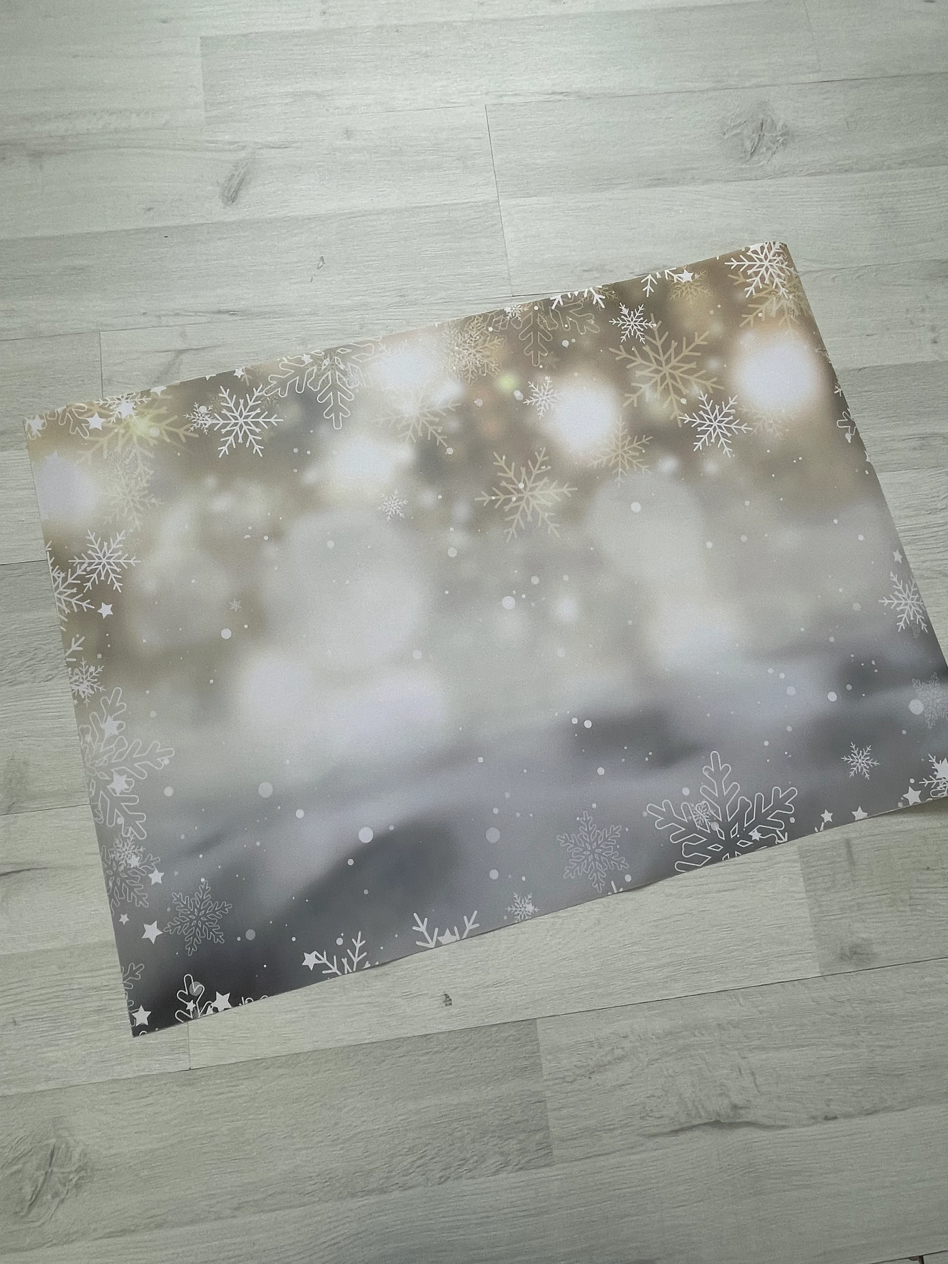 Işıltılı Kartaneli Fotoğraf Çekim Fonu