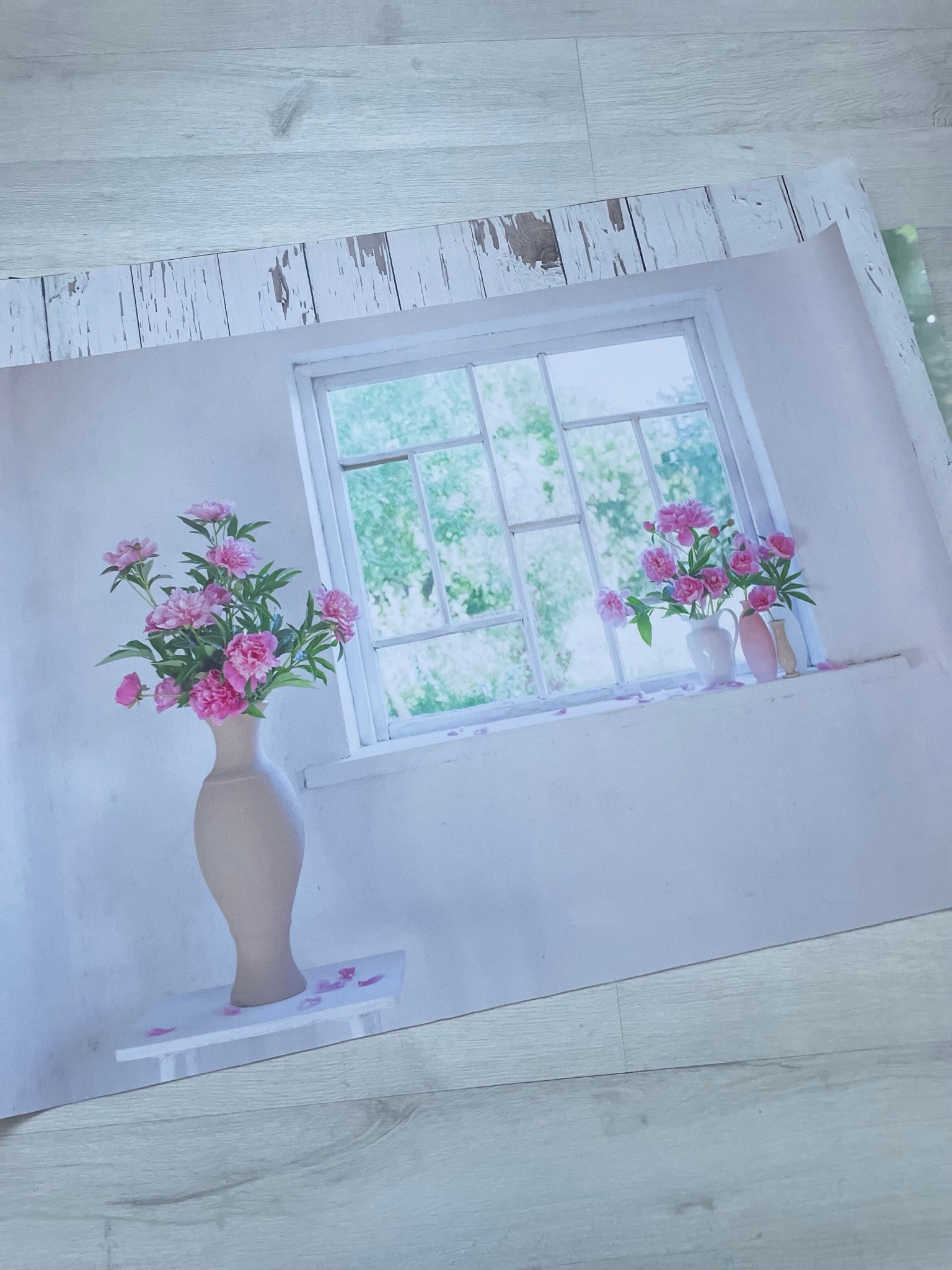 Cam Önü Vazo Pembe Temalı Fotoğraf Çekim Fonu
