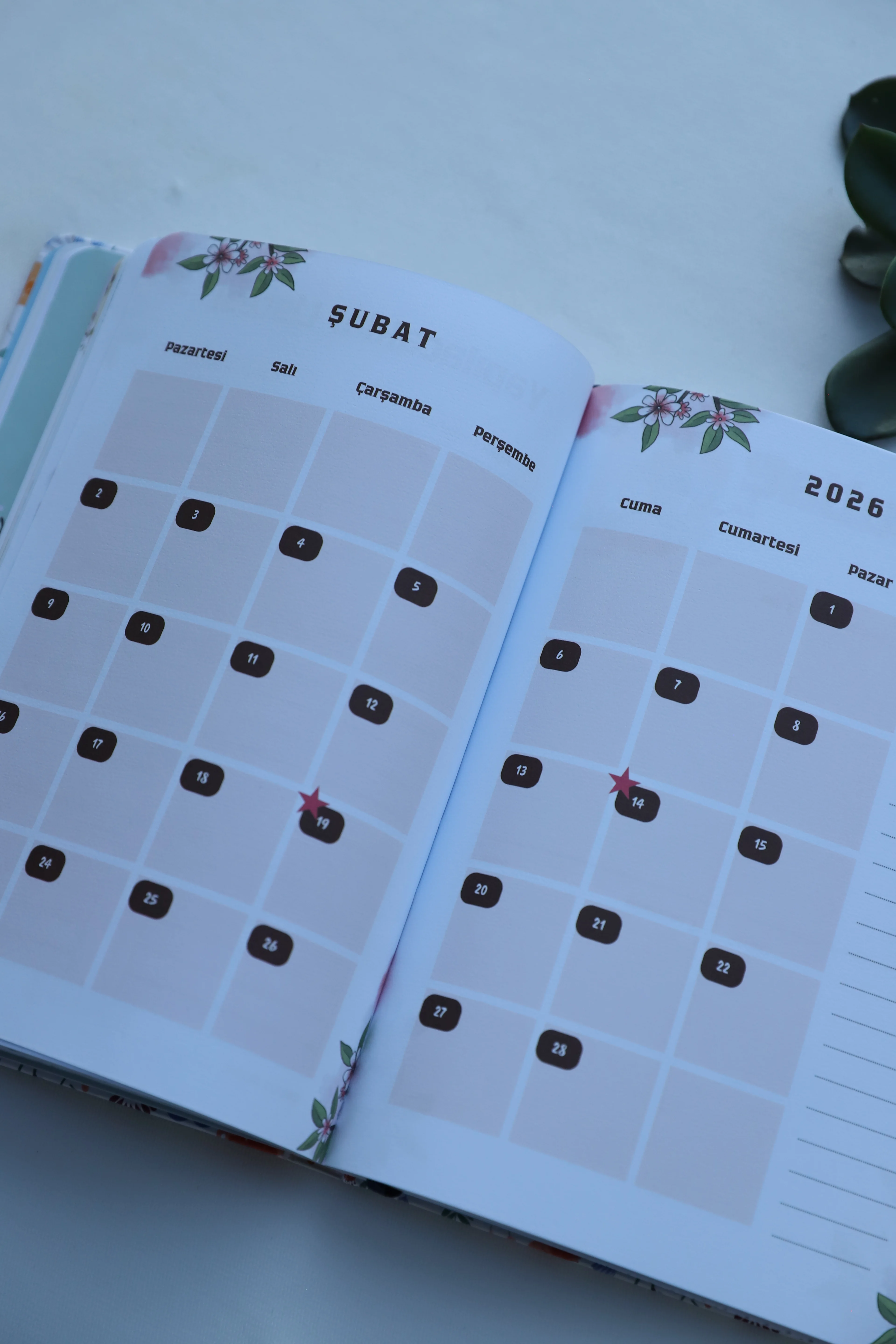 Planlama Defteri - Tarihli Ajanda 2026 - Renkli Desen