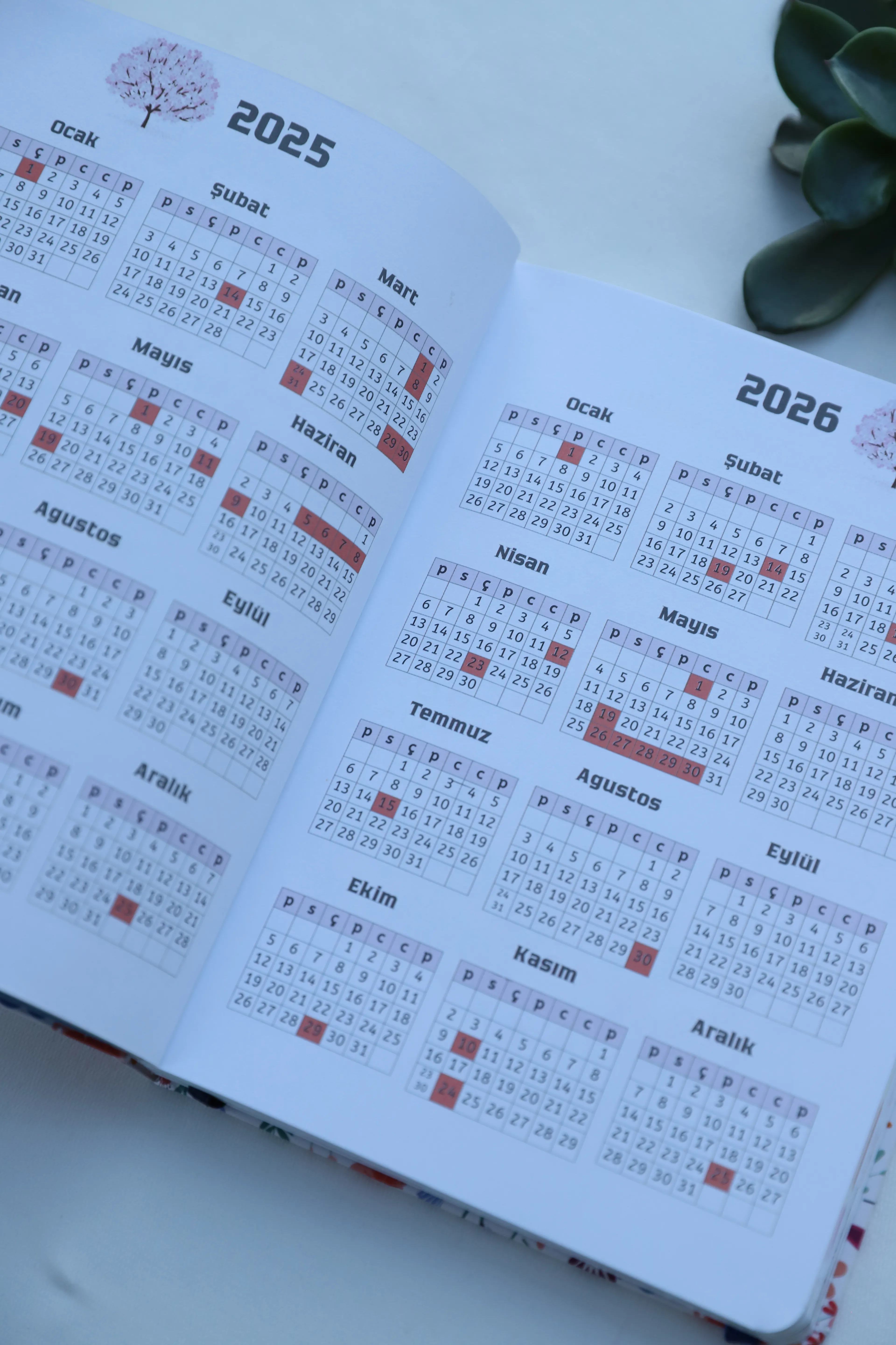 Planlama Defteri / Tarihli Ajanda 2026 - Leopar Desen