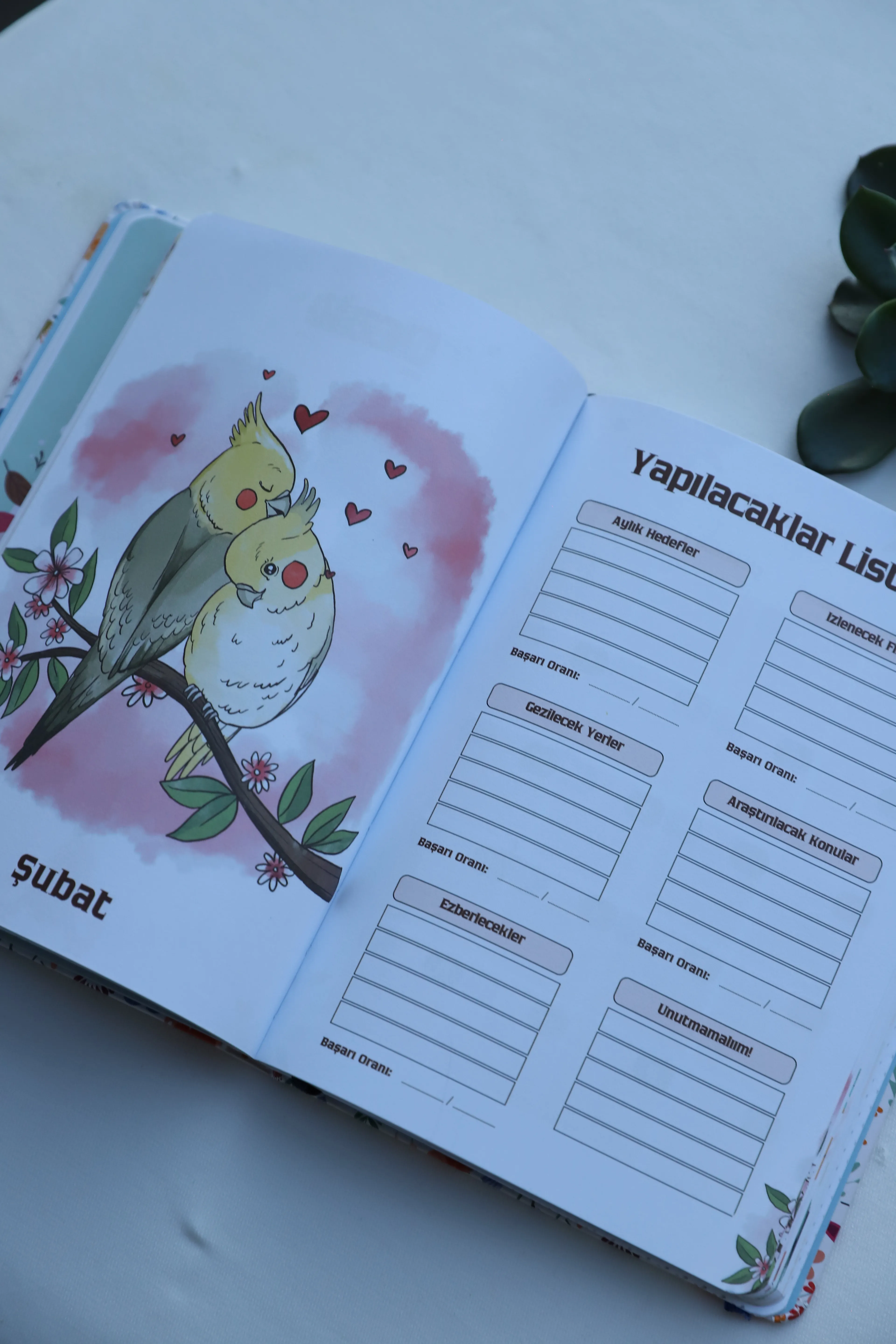 Planlama Defteri - Tarihli Ajanda 2026 - Renkli Desen