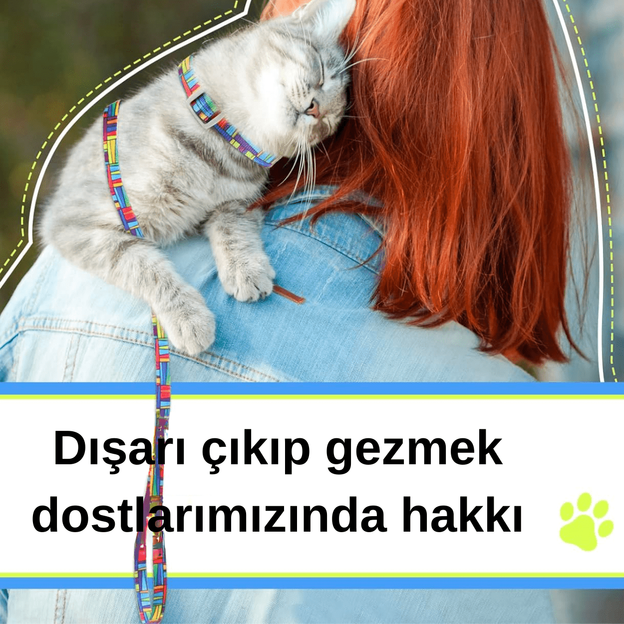 Ayarlanabilir Kedi Dolaştırma Yürüyüş Göğüs Bel Boyun Gezdirme Tasması