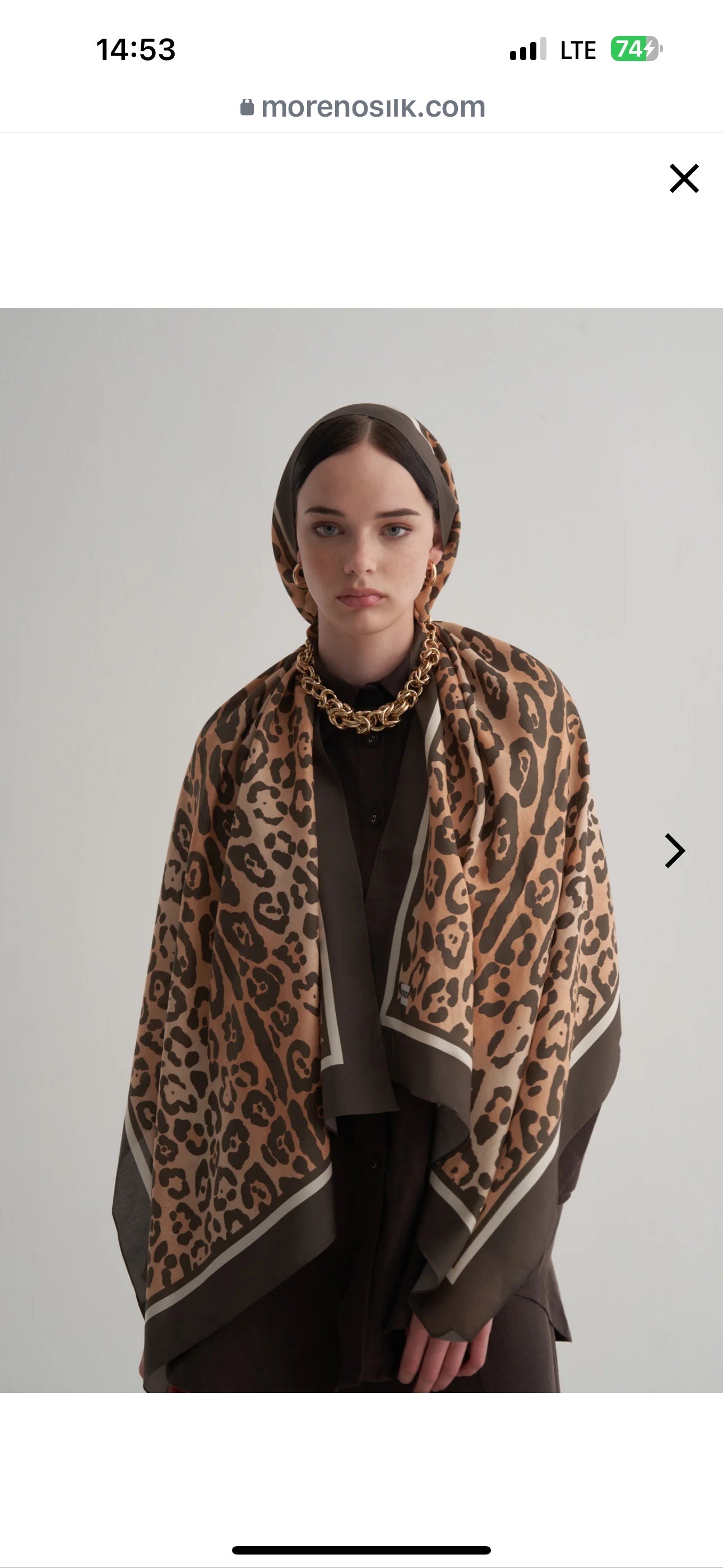 Leopard