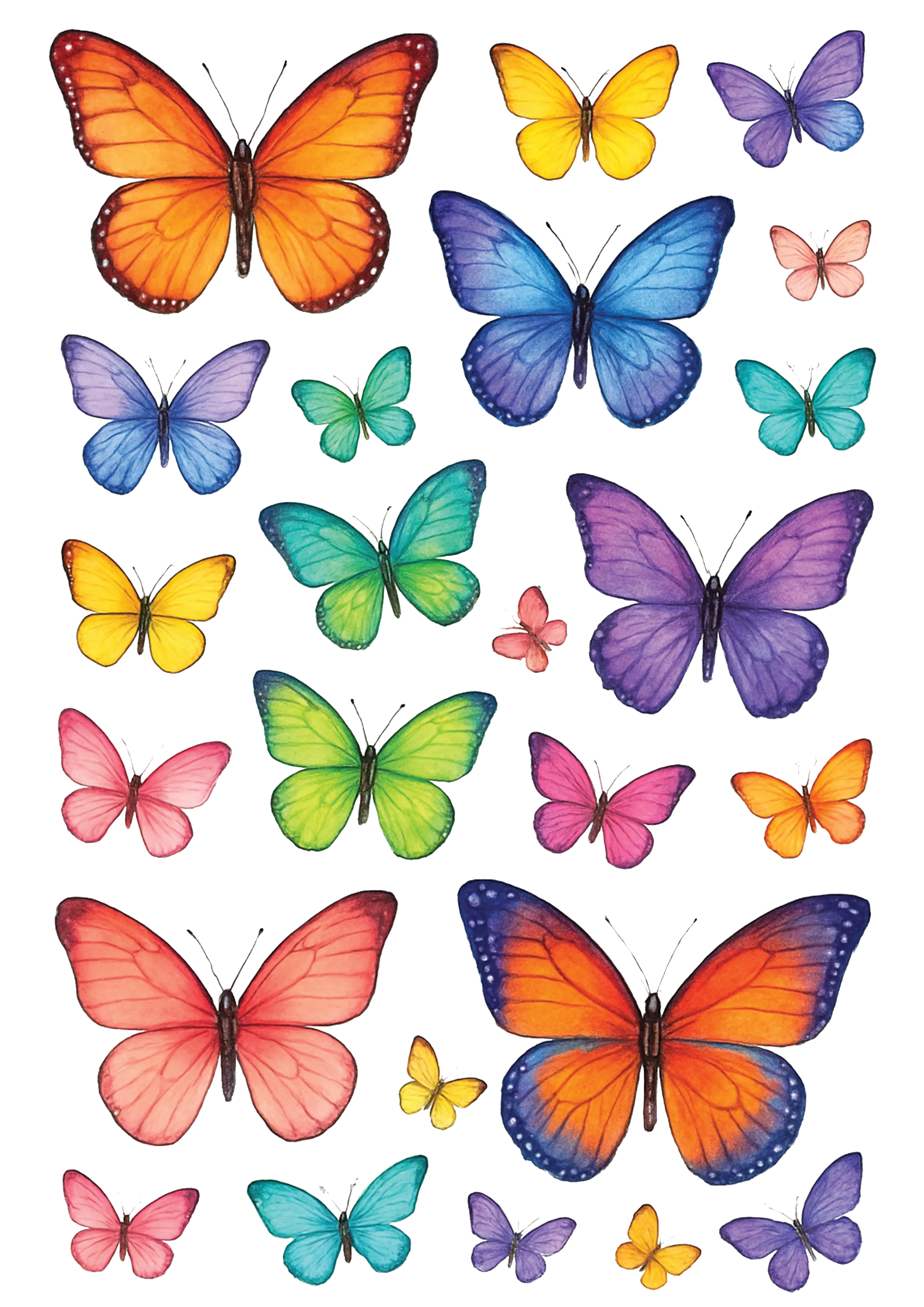 Hazır Yenilebilir Baskı - Renkli Kelebek