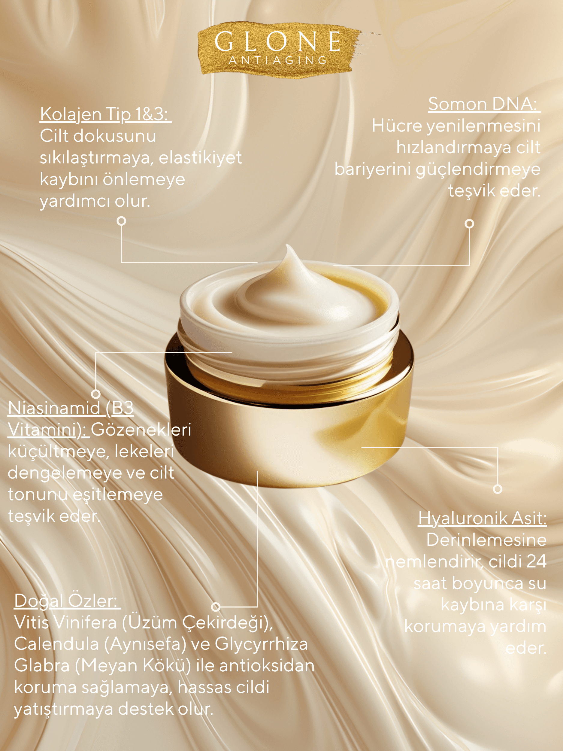 Anti Aging Kolajen Krem 50ml | Kollajen I&III+Somon DNA&Niasinamid-Sıkılık+Nem+Işıltı | HA&Calendula