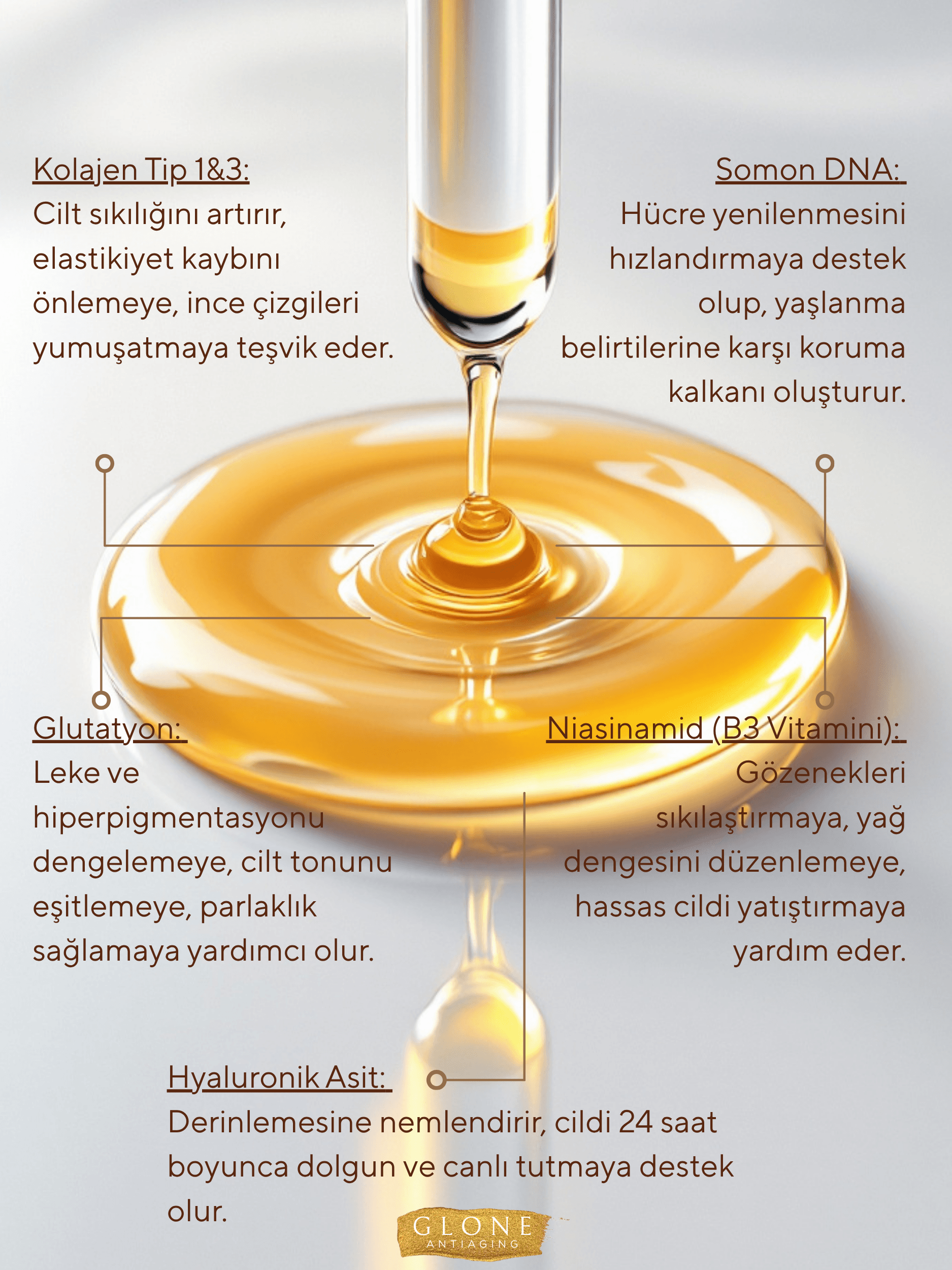 Anti Aging Yüz Serumu 50 ml | Kol I&III+Glutatyon+Somon DNA - Niasinamid+HA ile Kırışık/Leke Karşıtı