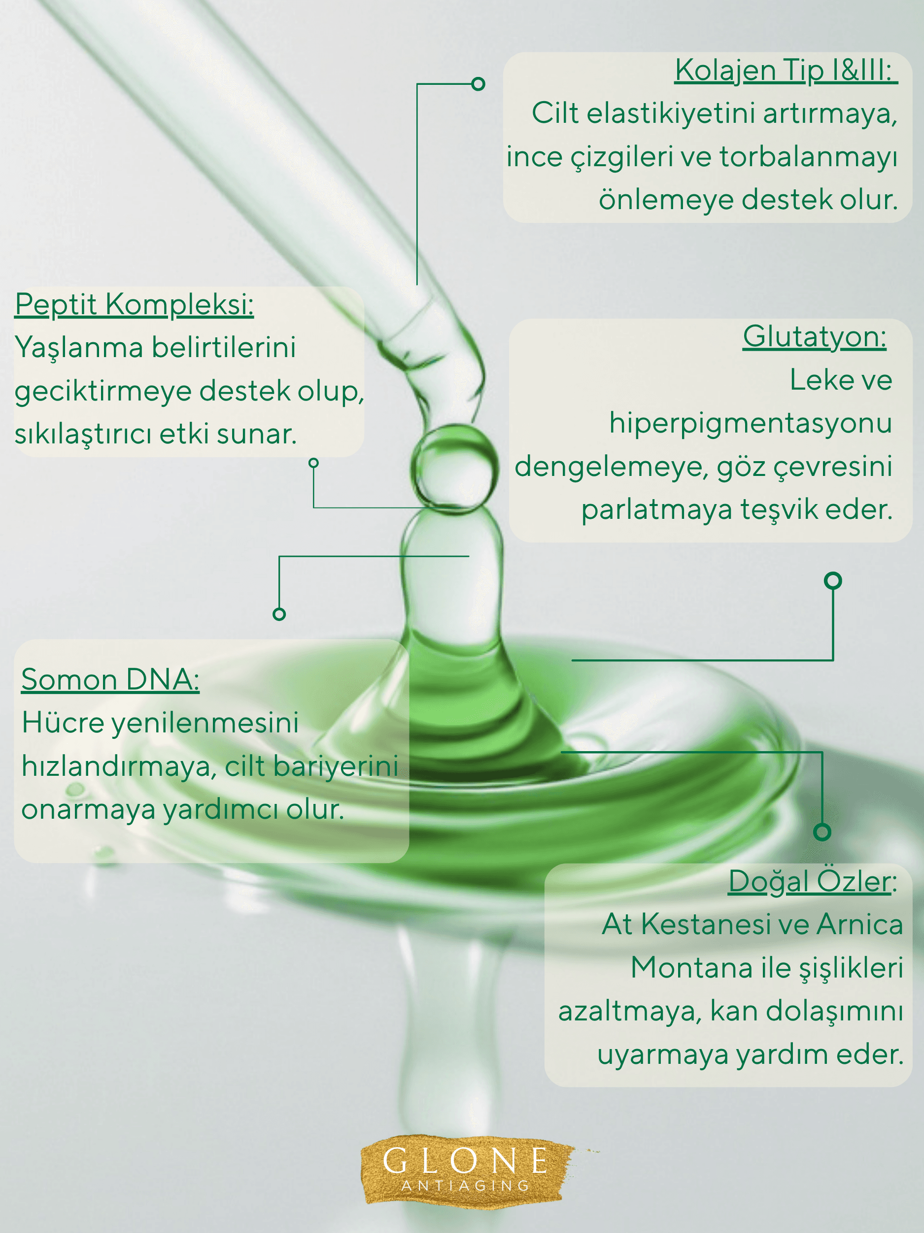 Yoğun Anti Aging Göz Serumu 30ml | Kollajen I+III & Glutatyon & Somon DNA İle Anında Etki 