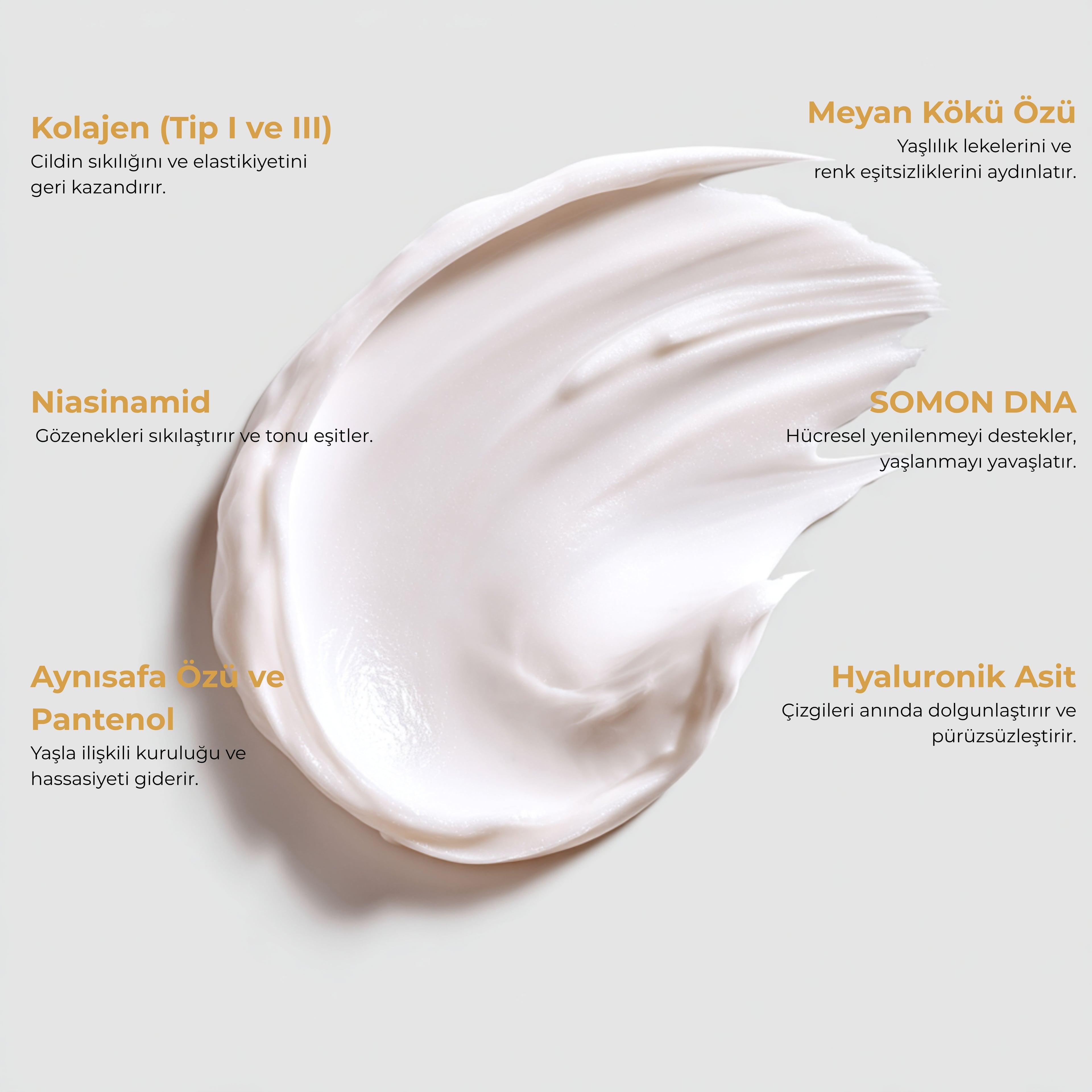 Anti Aging Kolajen Krem 50ml | Kollajen I&III+Somon DNA&Niasinamid-Sıkılık+Nem+Işıltı | HA&Calendula