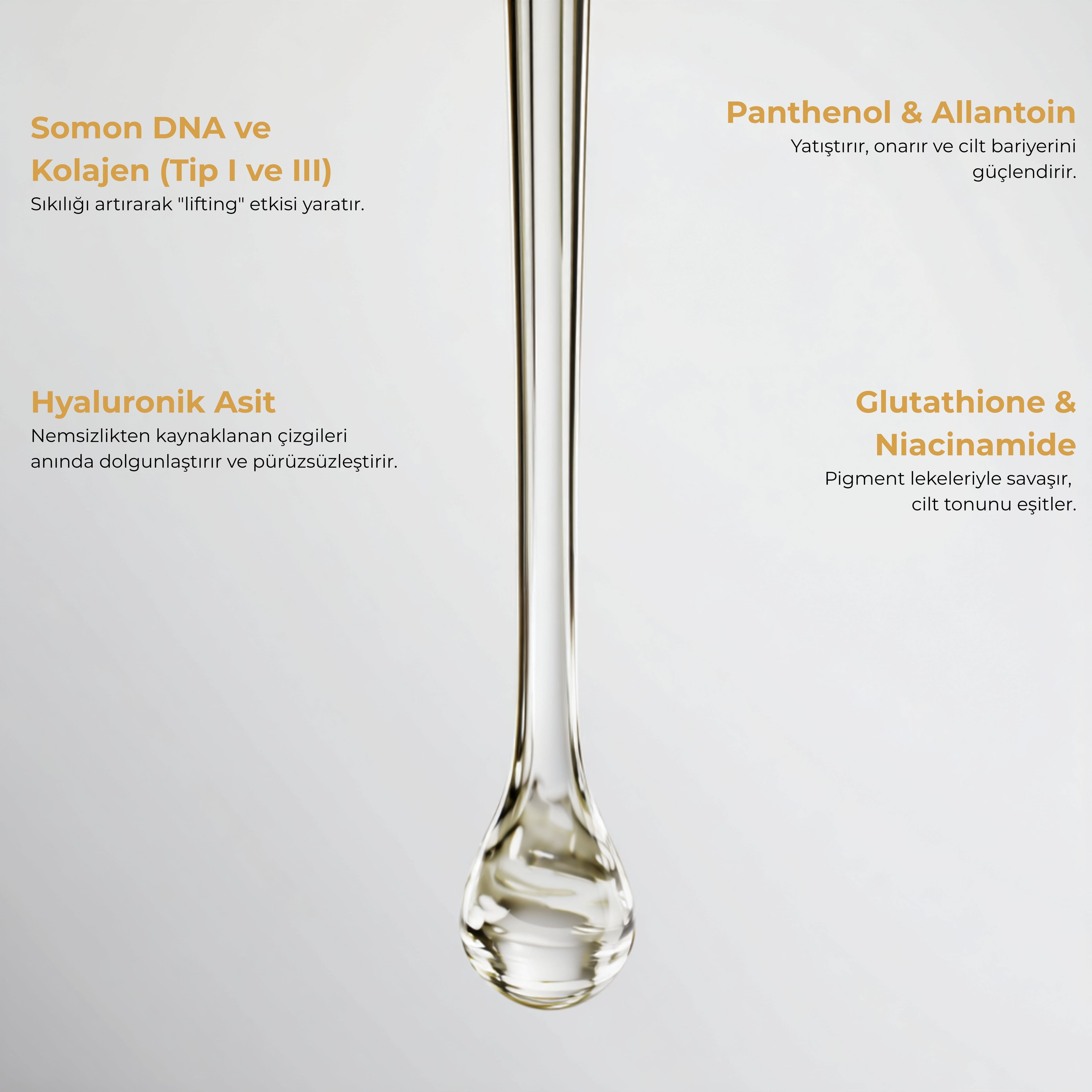 Anti Aging Yüz Serumu 50 ml | Kol I&III+Glutatyon+Somon DNA - Niasinamid+HA ile Kırışık/Leke Karşıtı