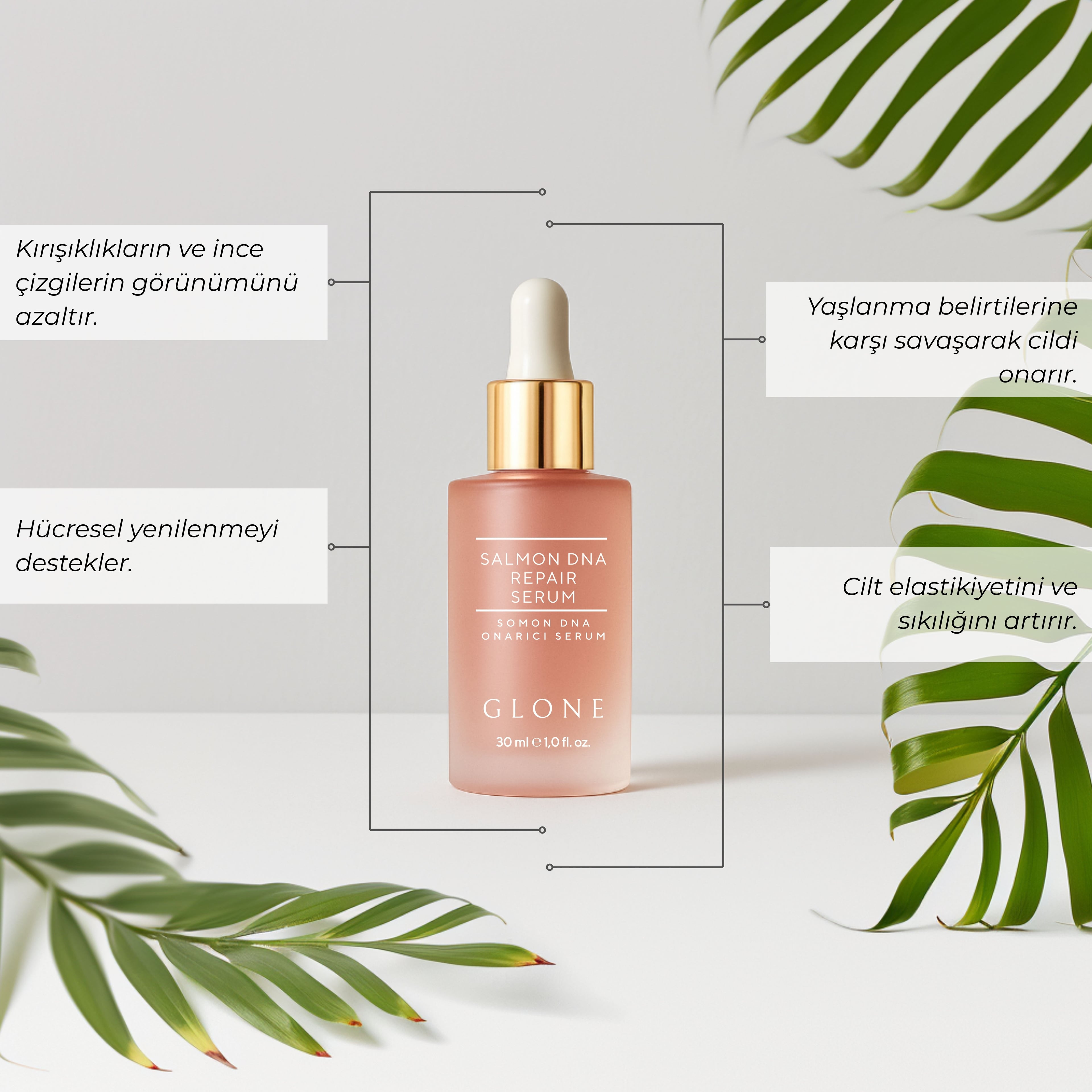 GLONE Somon DNA Onarıcı Serum 30ml | Somon DNA, Collagen & Hyaluronik Asit İçeren Anti-Aging Serum | Kırışıklık Onarımı ve Cilt Yenileme