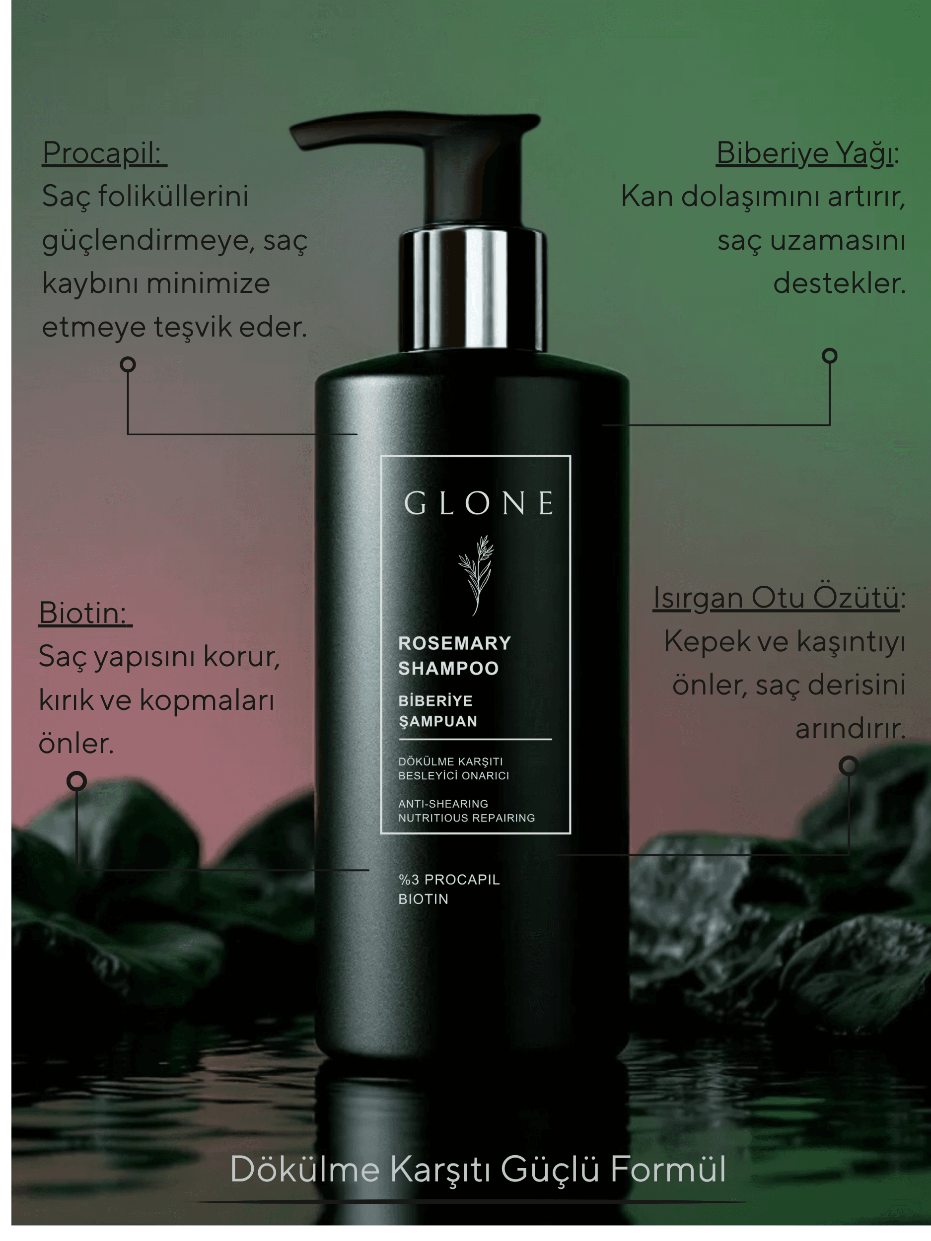 GLONE Biberiye Şampuan 250ml | %3 Procapil + Biotin İçeren Saç Dökülmesi Karşıtı & Güçlendirici Şampuan | Bitkisel Formül ile Saç Uzatma ve Nem Dengesi