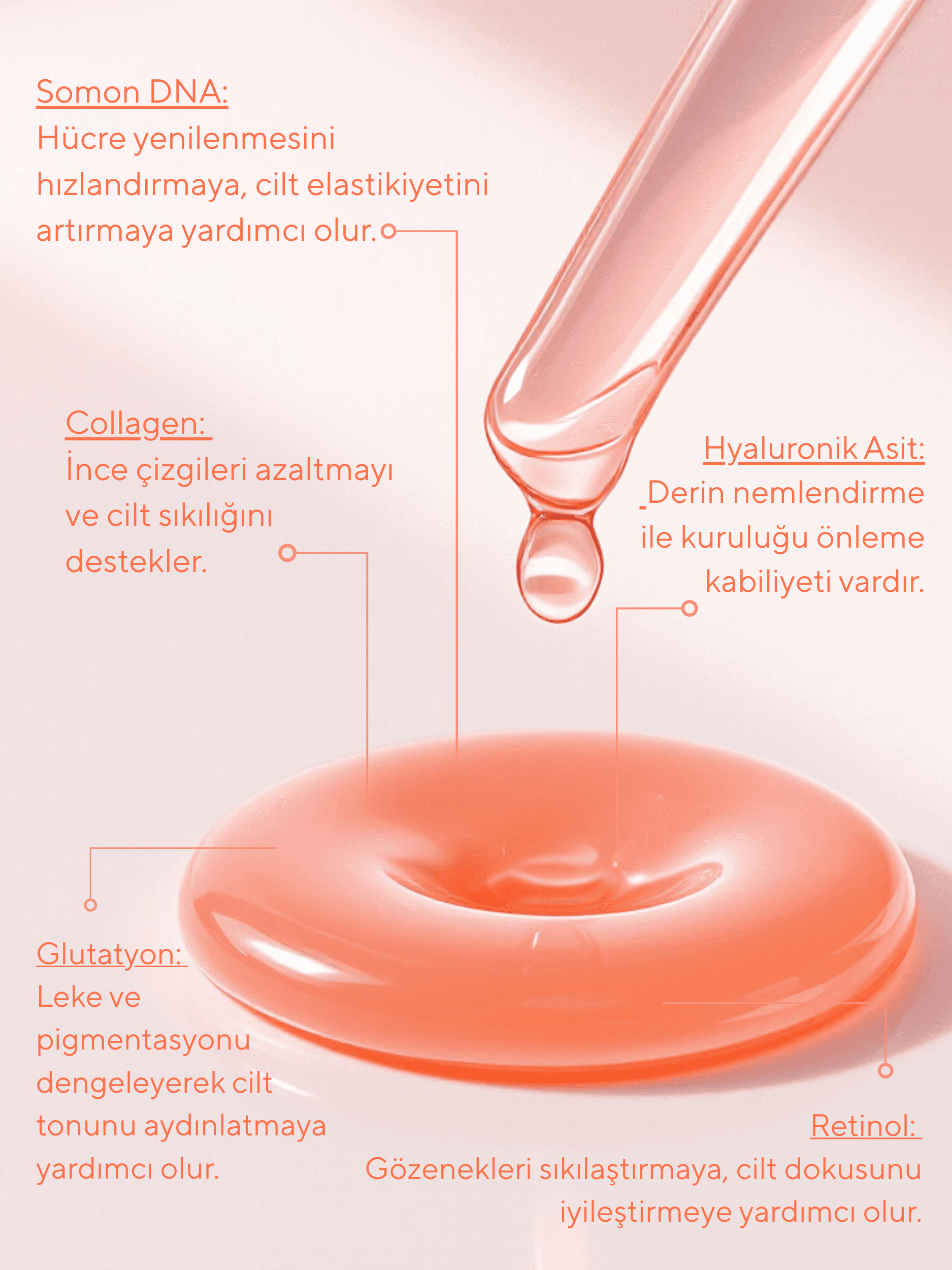 GLONE Somon DNA Onarıcı Serum 30ml | Somon DNA, Collagen & Hyaluronik Asit İçeren Anti-Aging Serum | Kırışıklık Onarımı ve Cilt Yenileme