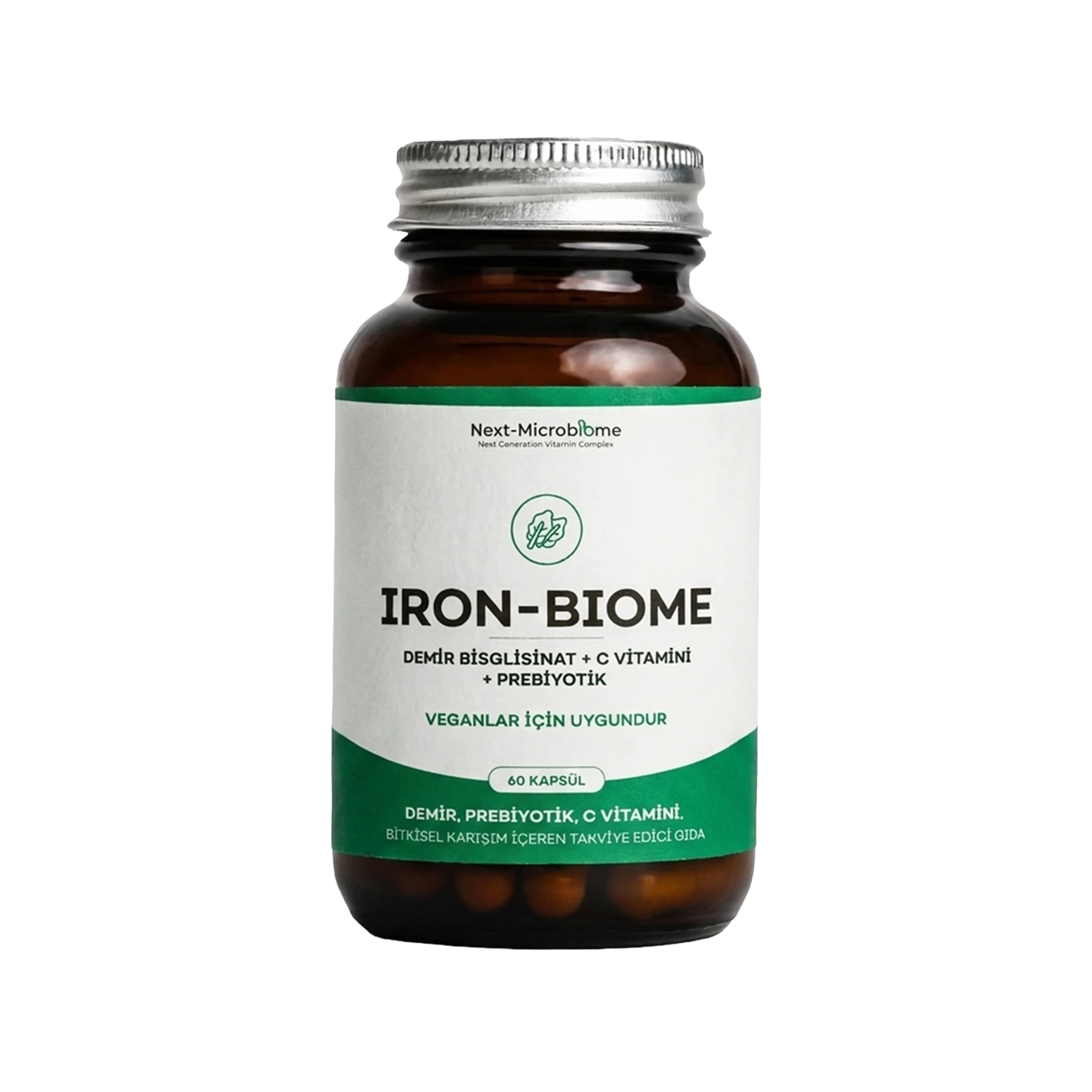 iron-Biome