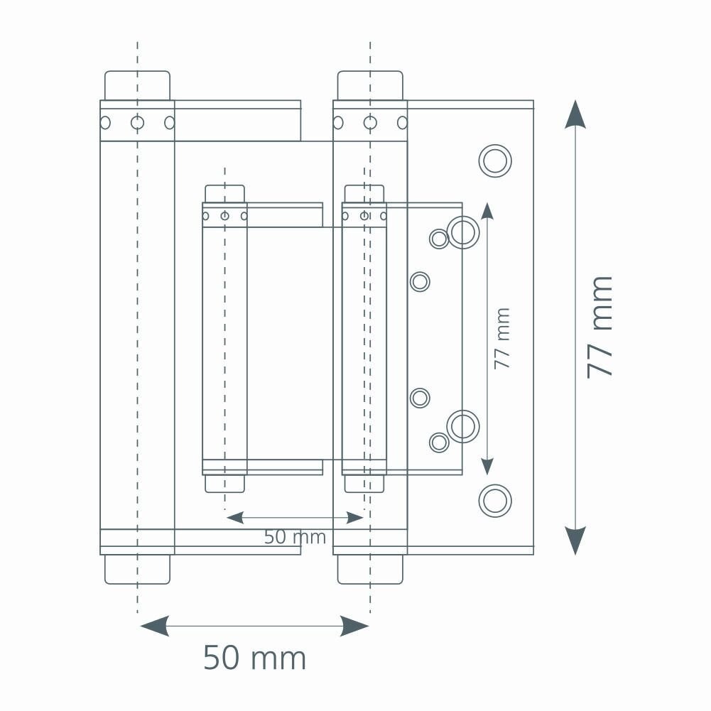 Canex Paslanmaz Yaylı Menteşe 77*50mm 1 Çift