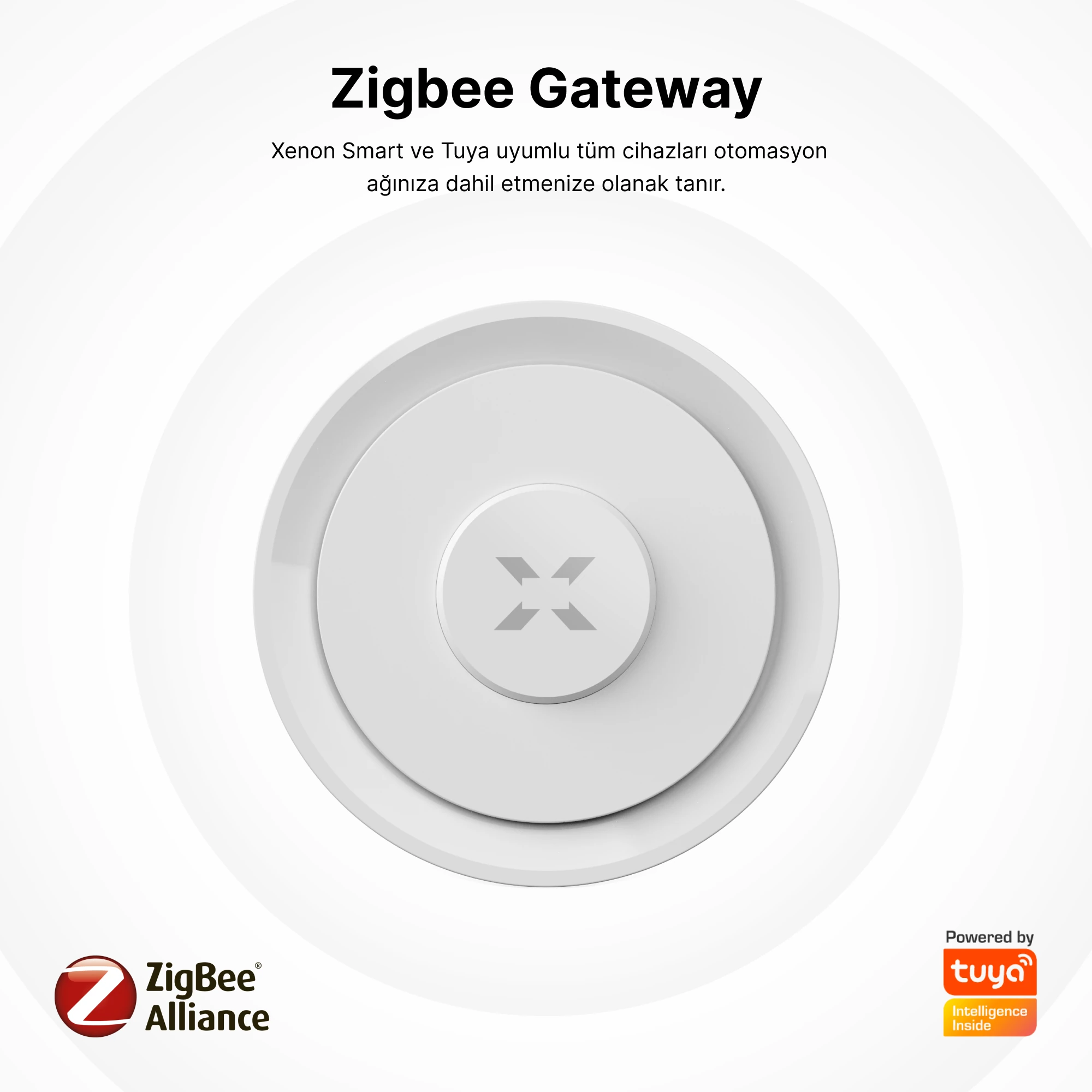 Zigbee & Ethernet Ağ Geçidi Gateway