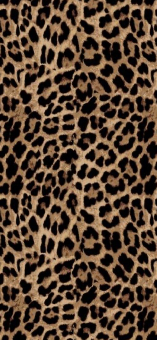 leopar