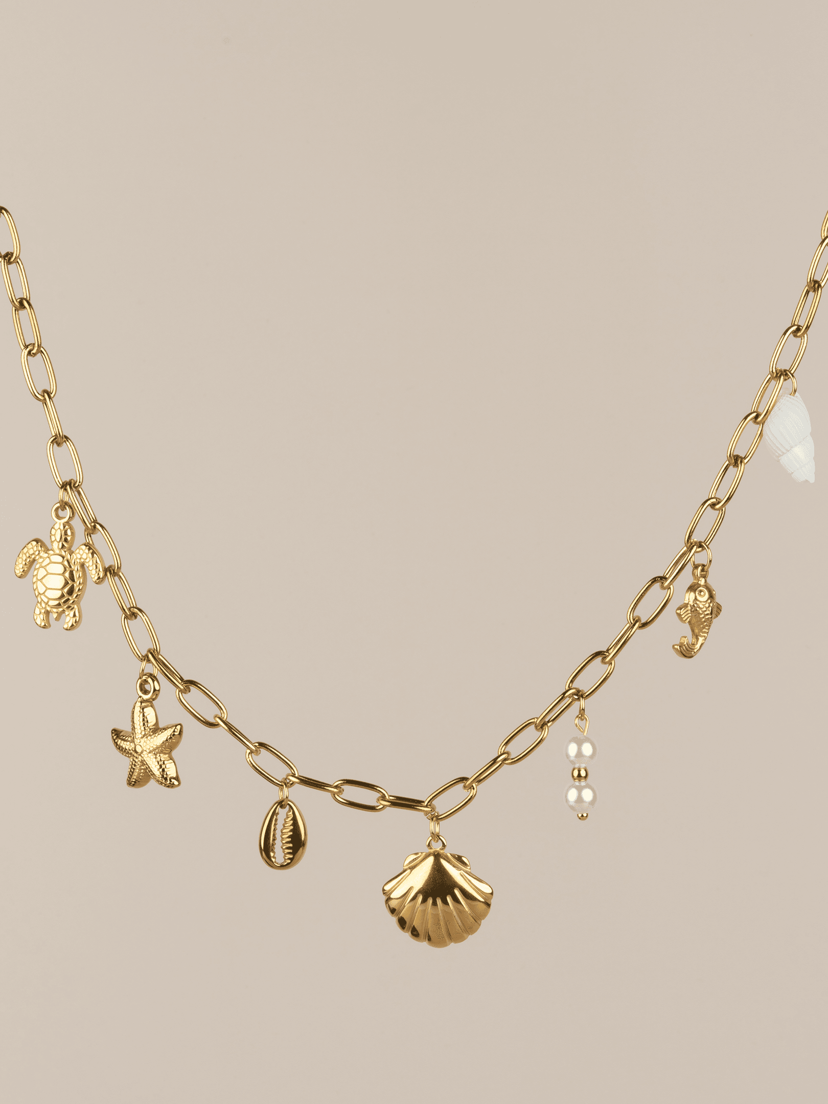 Oceana Deniz Kabuğu Kaplumbağa Charm Choker Çelik Kolye