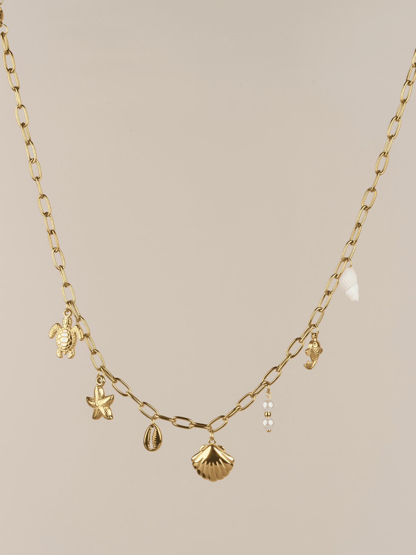 Oceana Deniz Kabuğu Kaplumbağa Charm Choker Çelik Kolye